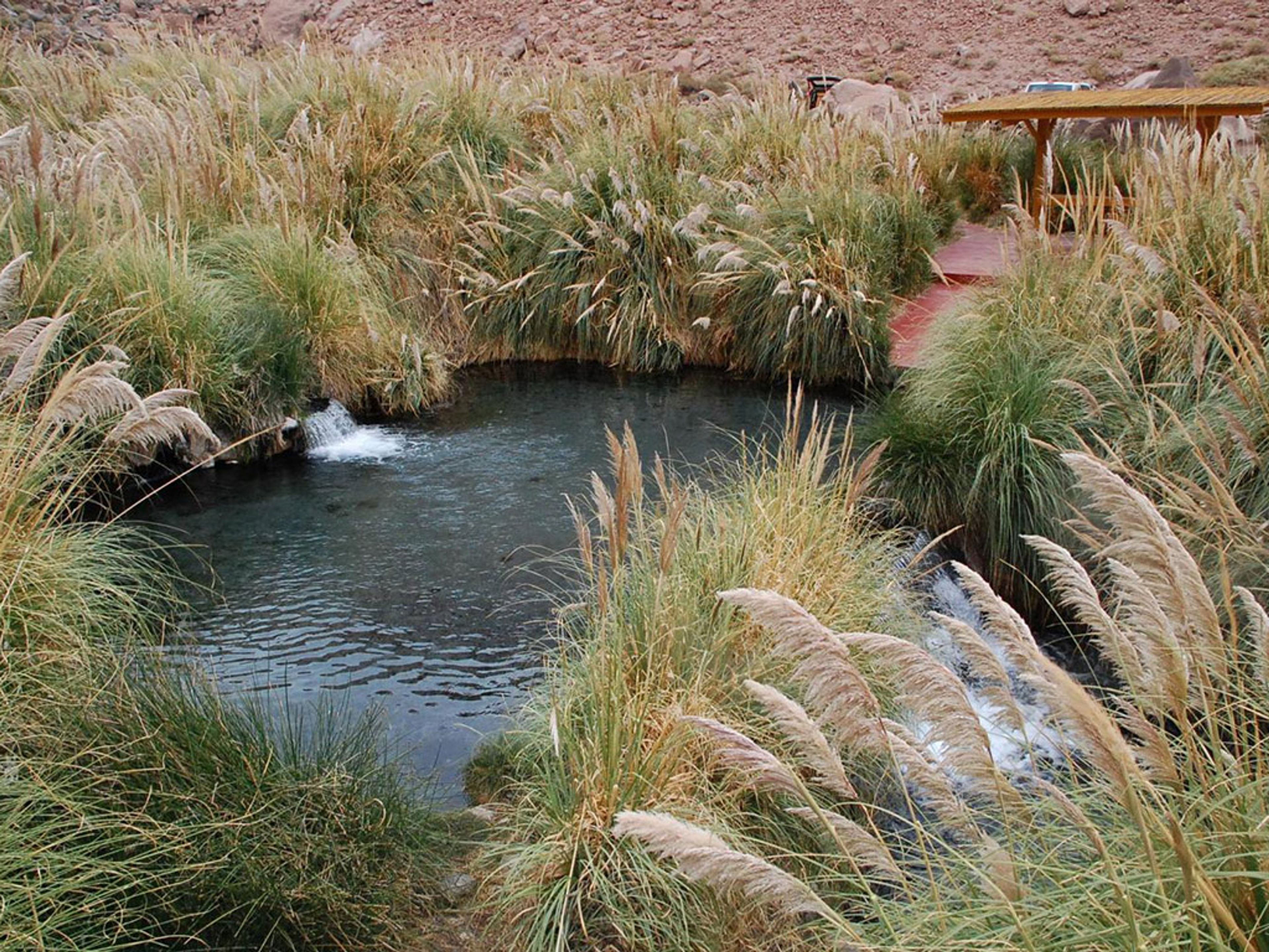 “TATIO GEYSERS &PURITAMA HOT SPRINGS” TOUR. PURITAMA HOT SPRINGS, “TATIO GEYSERS &PURITAMA HOT SPRINGS” TOUR