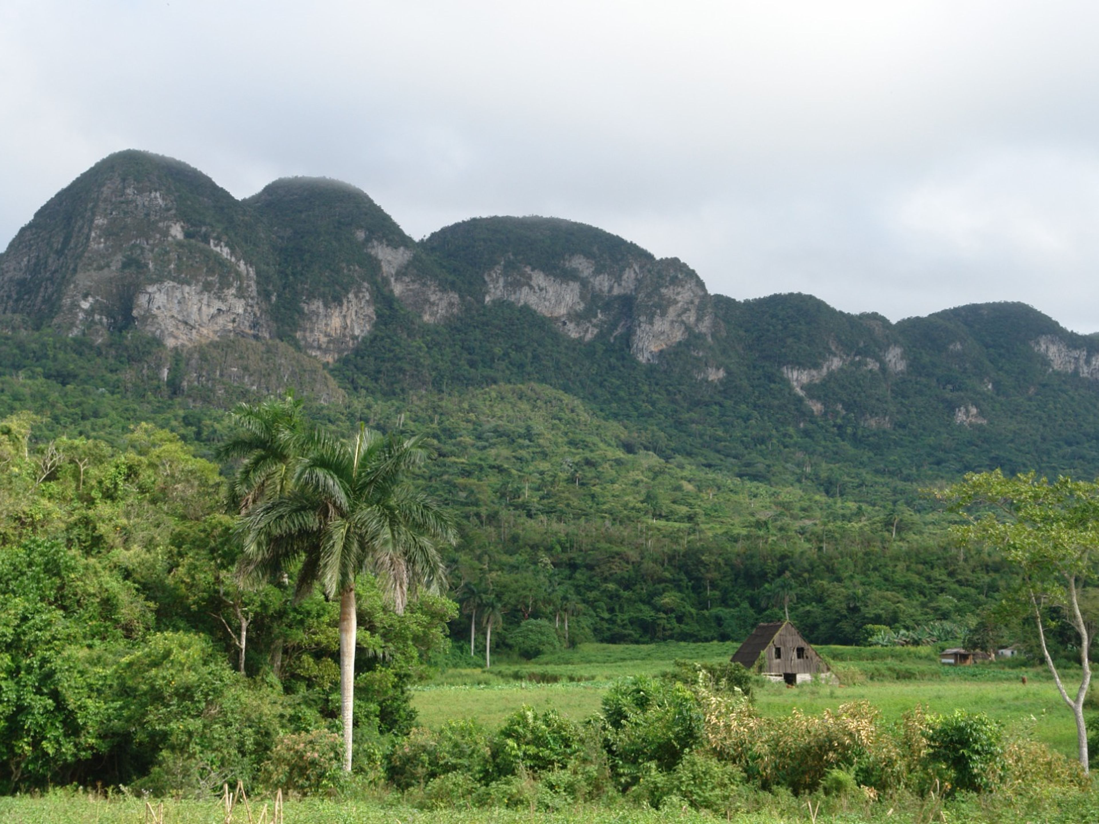 Jeep Safari “VIÑALES 4X4” (PATRIMONIO MUNDIAL DE LA HUMANIDAD DE LA UNESCO).. The Viñales Valley (Valle de Viñales) panoramic view, UNESCO World Heritage Site, Viñales, Pinar del Río, Cuba.