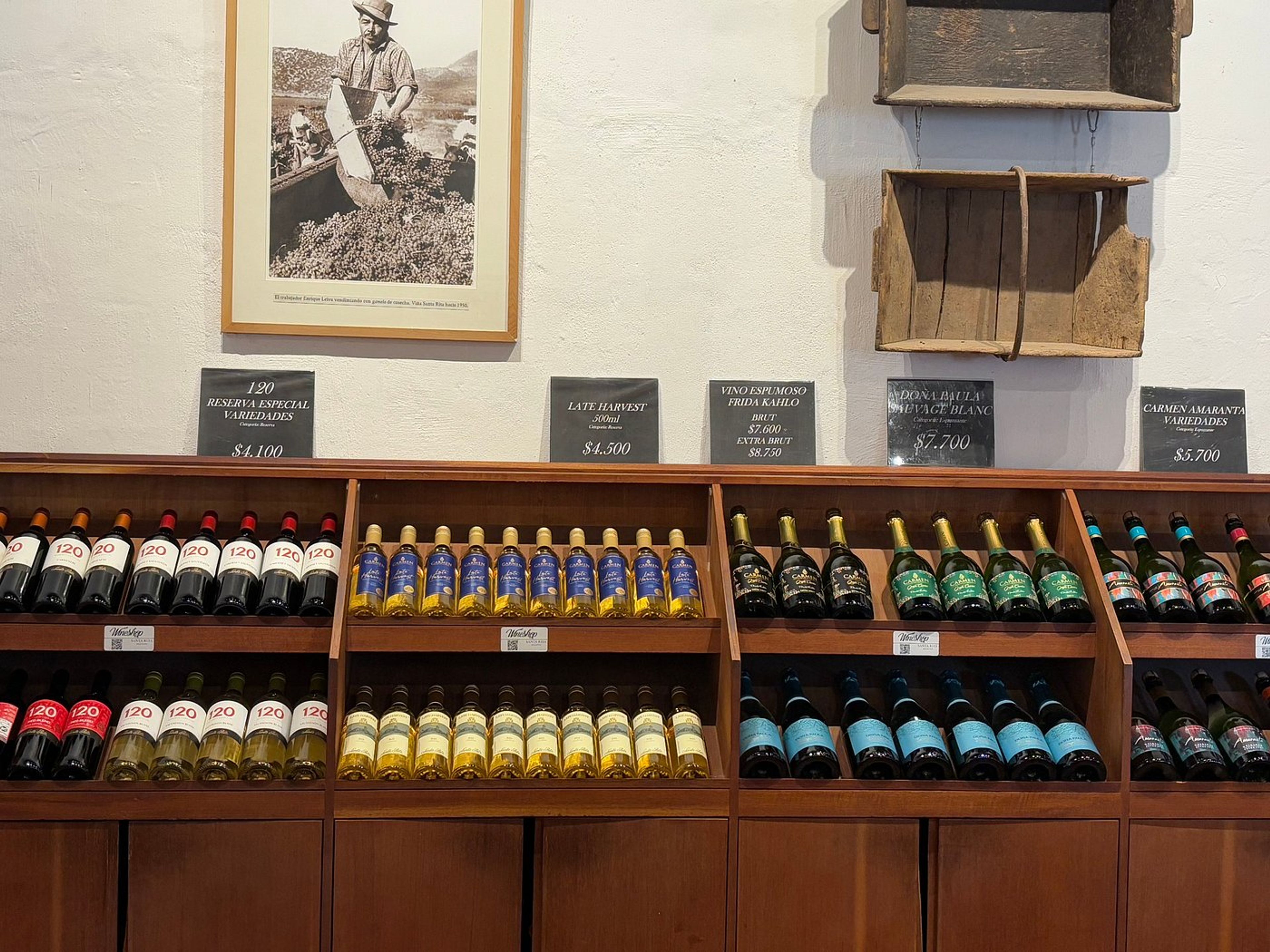 Excursão “ADEGA SANTA RITA”. “SANTA RITA WINERY” Tour, Chile.