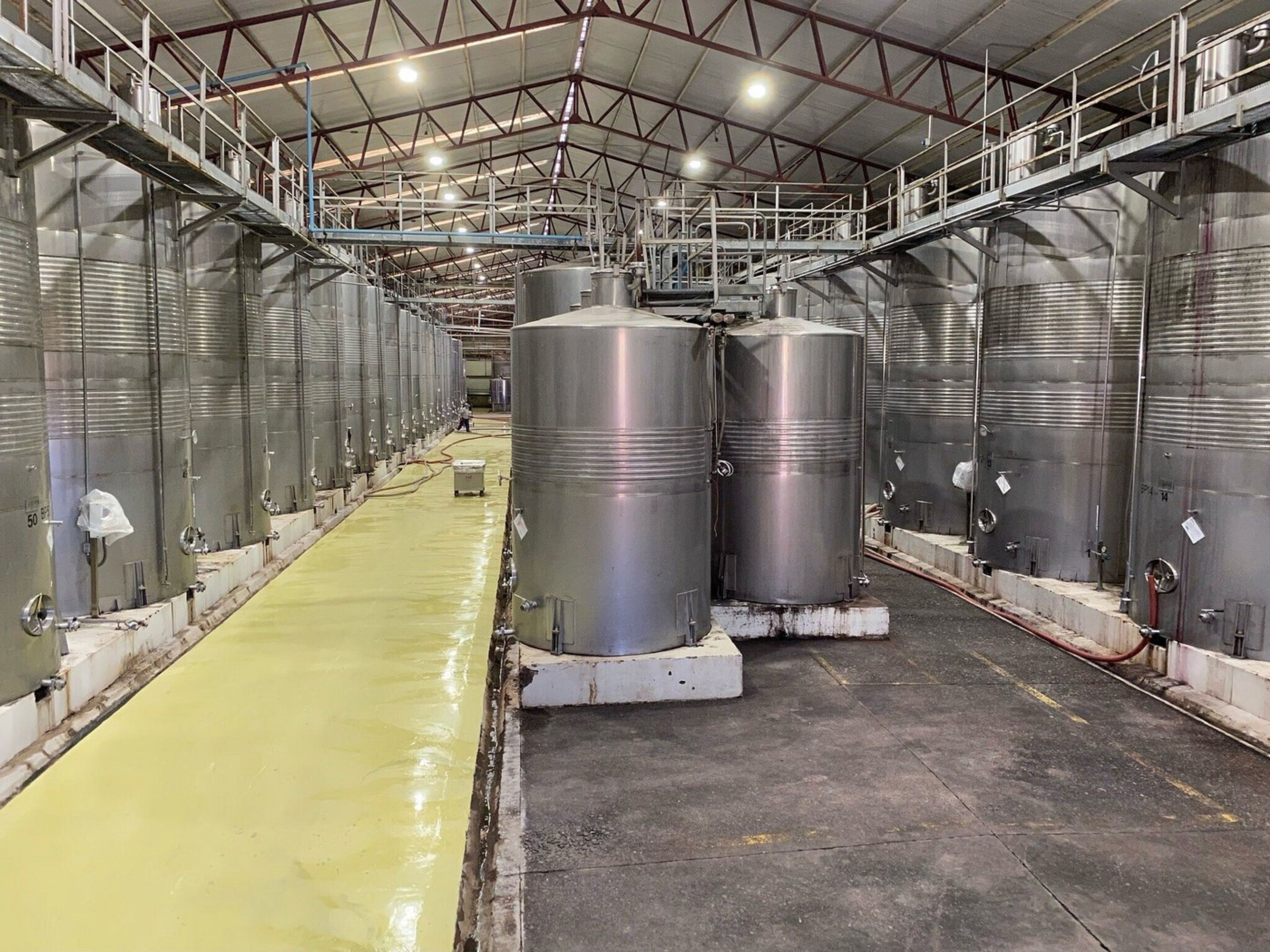 Tур "ВИНОДЕЛЬНЯ SANTA RITA". “SANTA RITA WINERY” Tour, Chile.