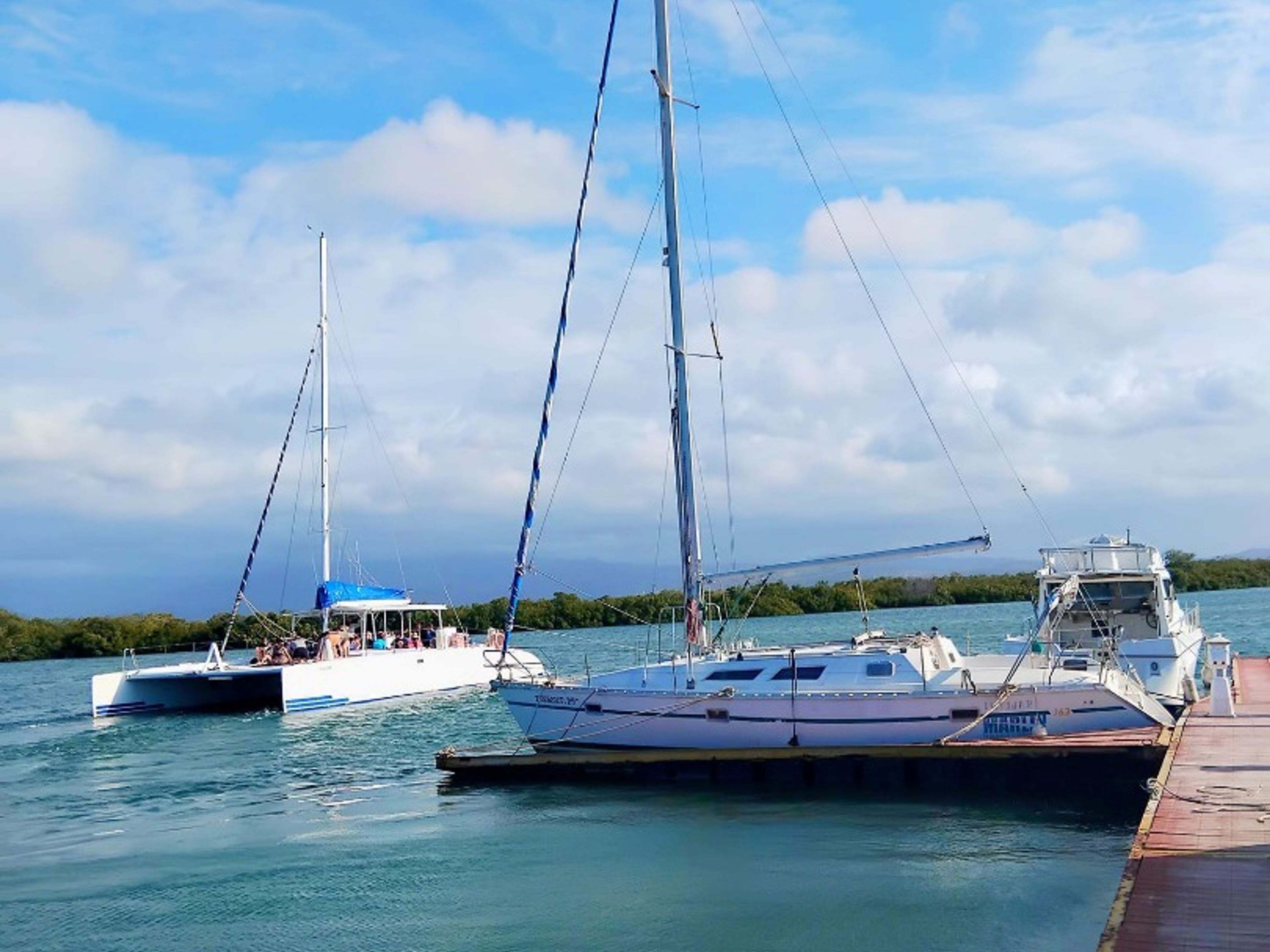 Excursão “CARIBBEAN PARADISE CRUISE”