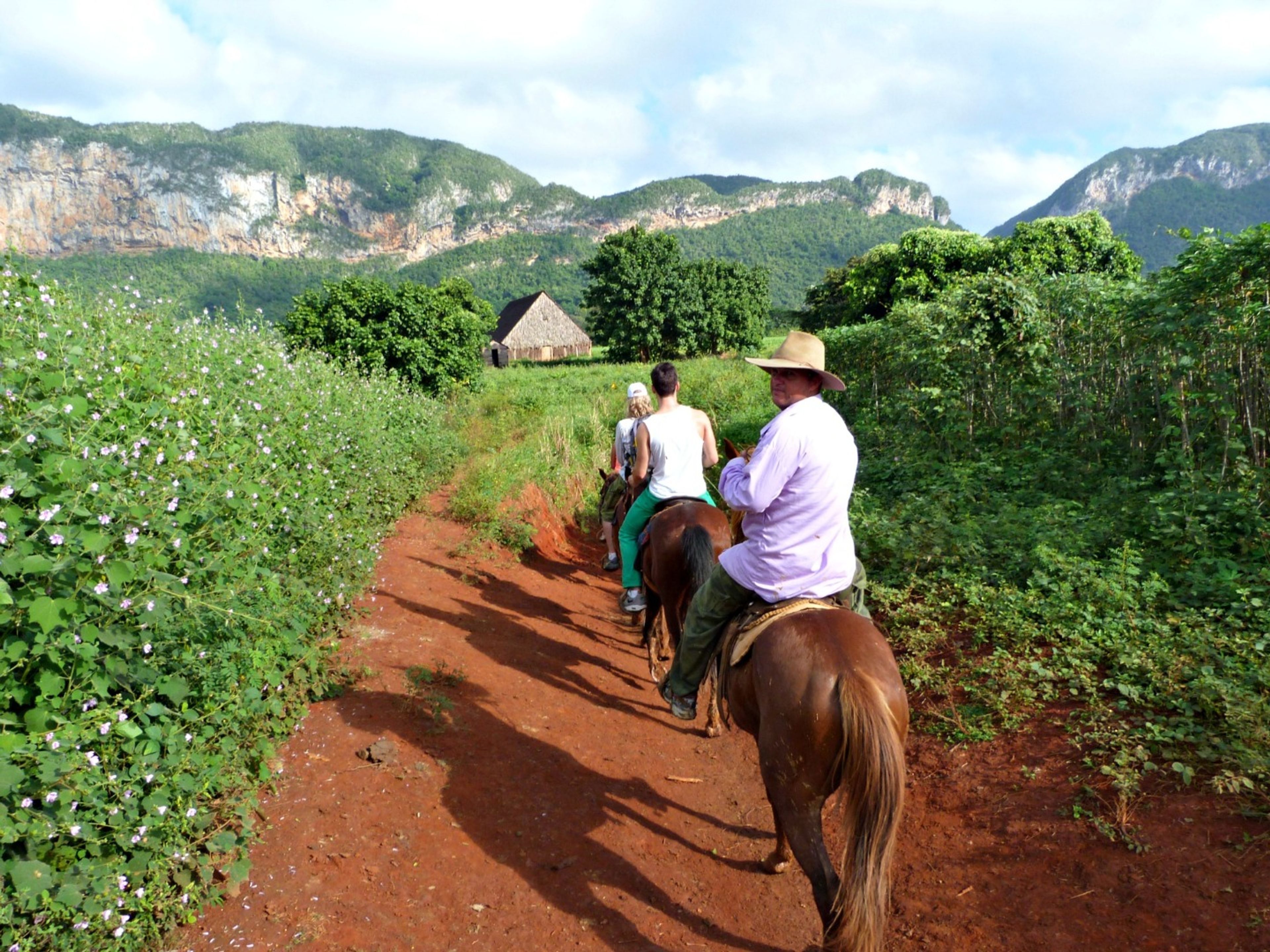 “THROUGH THE VALLE DEL SILENCIO” Horseback Riding. Horseback Riding Through the Valle del Silencio, Viñales valley National Park, Pinar del Río