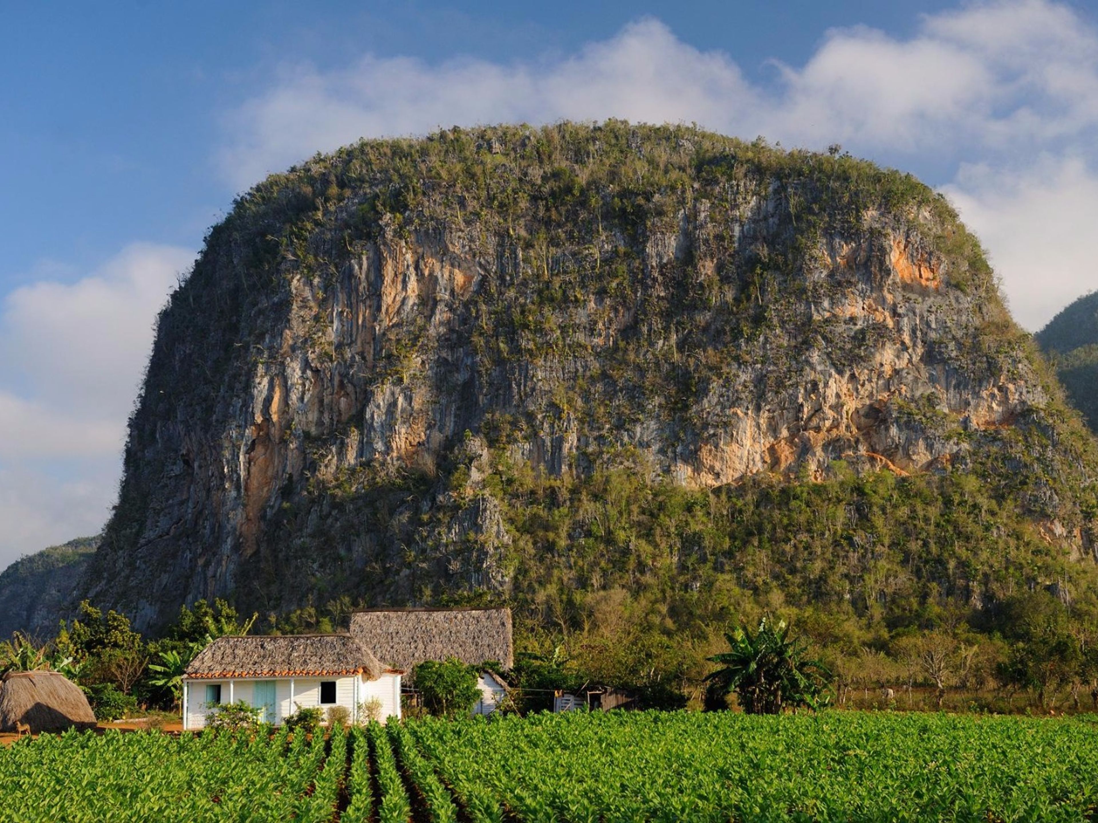 "Passeggiate a cavallo attraverso la Valle del Silencio". The Valle del Silencio panoramic view, Viñales valley National Park, Pinar del Río