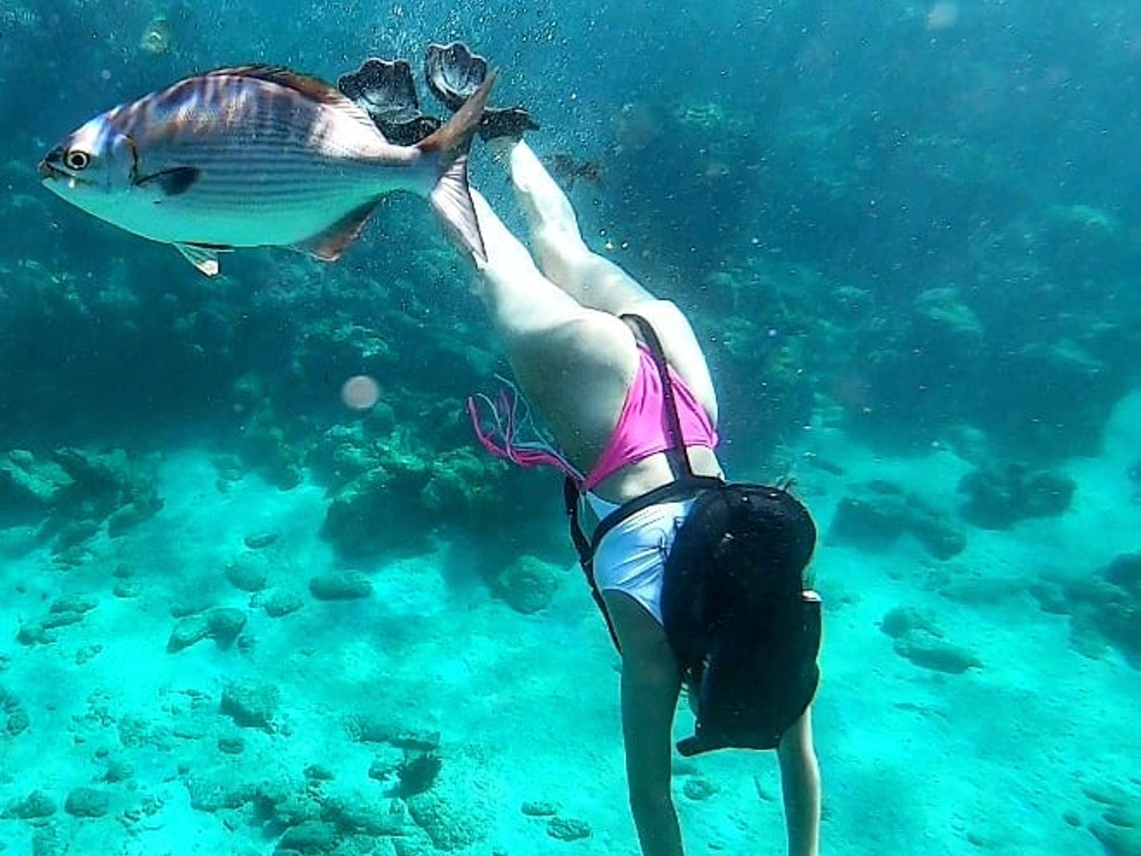 Excursão "SNORKELING EM PLAYA CORAL - CAVERNA DE SATURNO". Snorkeling at Playa Coral, Matanzas, Cuba.