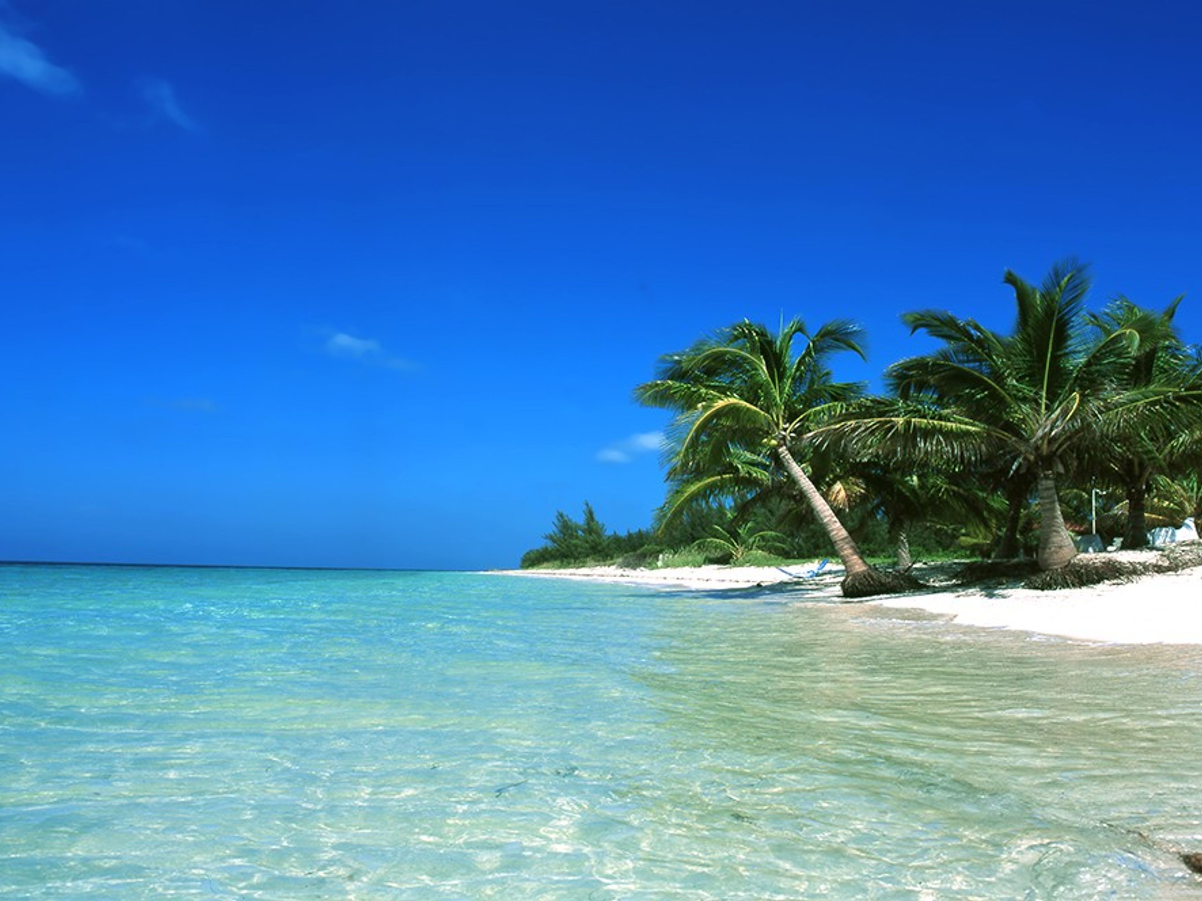 "Viñales - Cayo Levisa Overnight Tour". Panoramic Cayo Levisa beach view