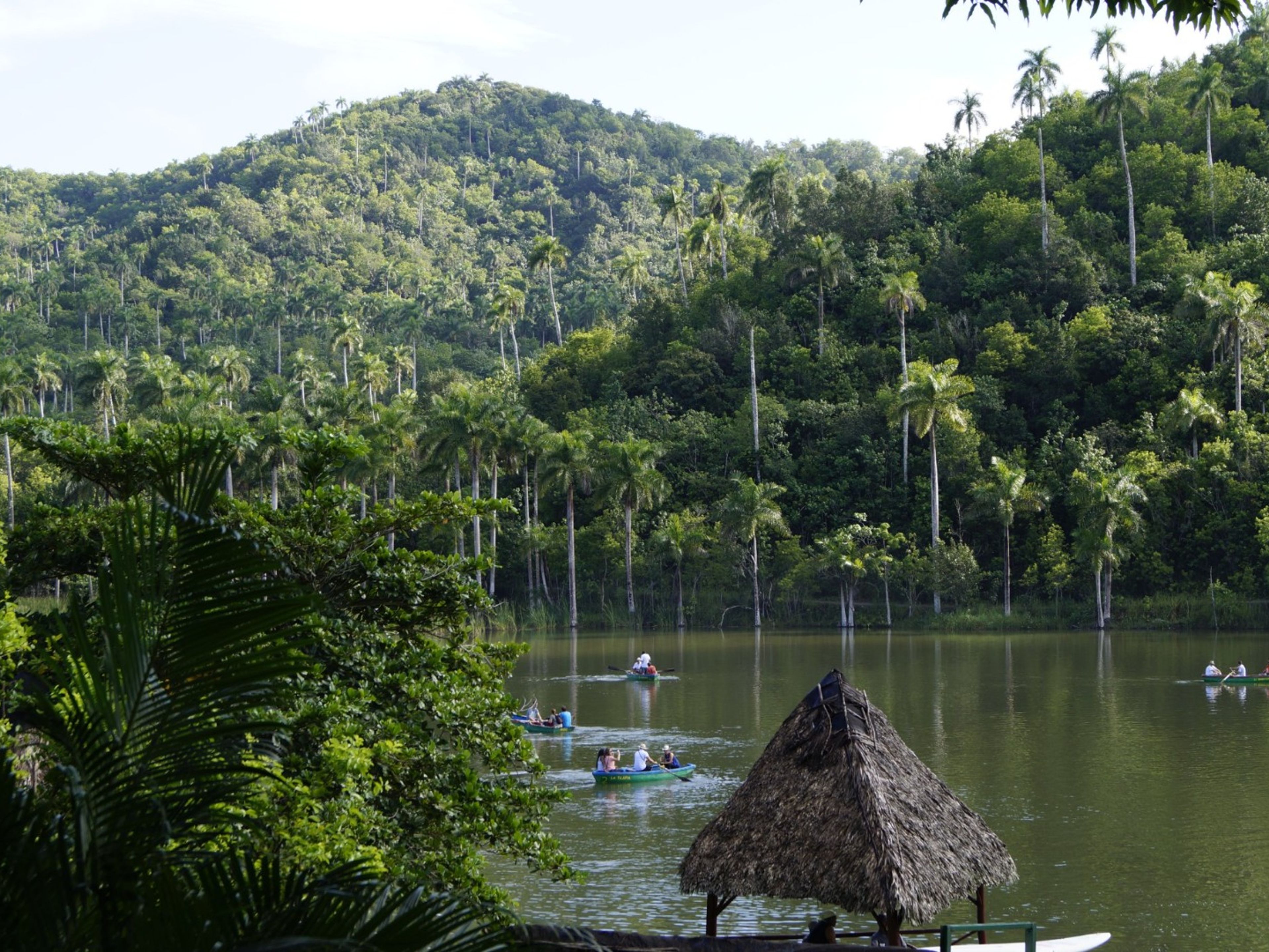 Jeep Safari "VIÑALES OVERNIGHT". Las Terrazas community panoramic view, Jeep “Overnight Terrazas- Viñales”