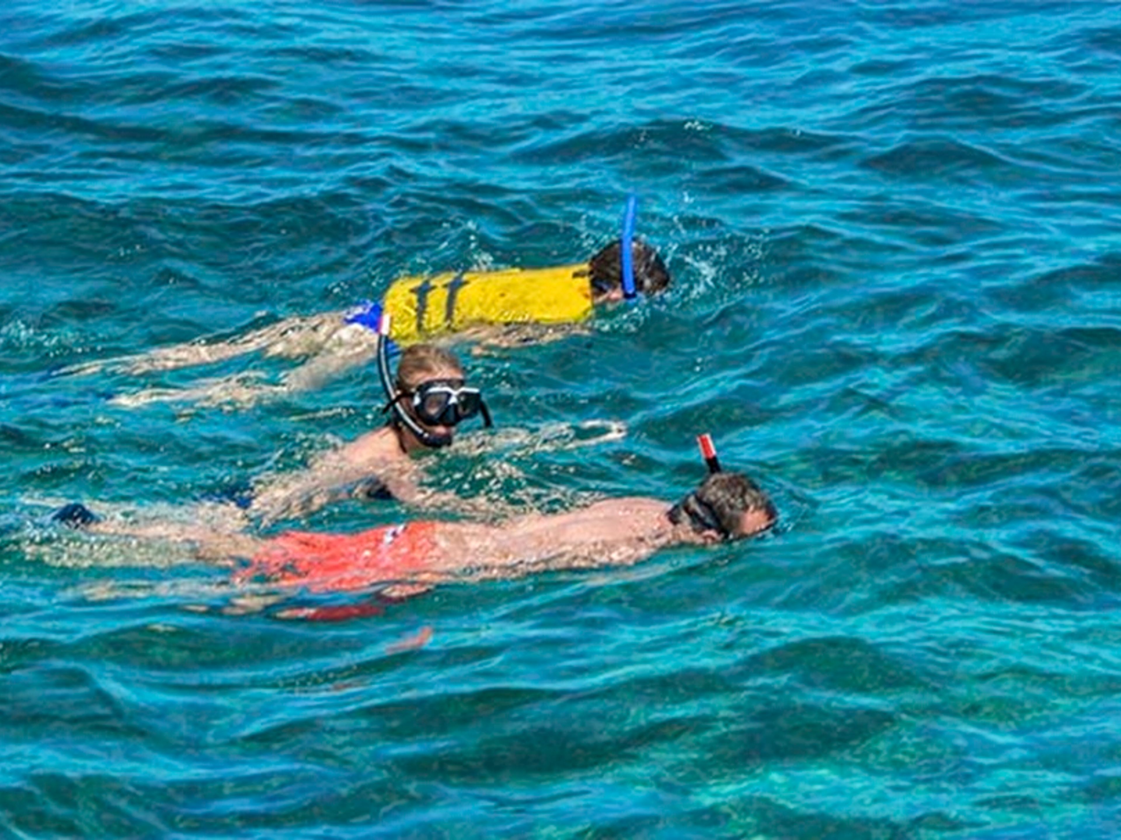 Tour "SNORKELING DALLA MAREA DEL PORTILLO". "SNORKELING FROM MAREA DEL PORTILLO" Tour, Pilón, Granma, Cuba.