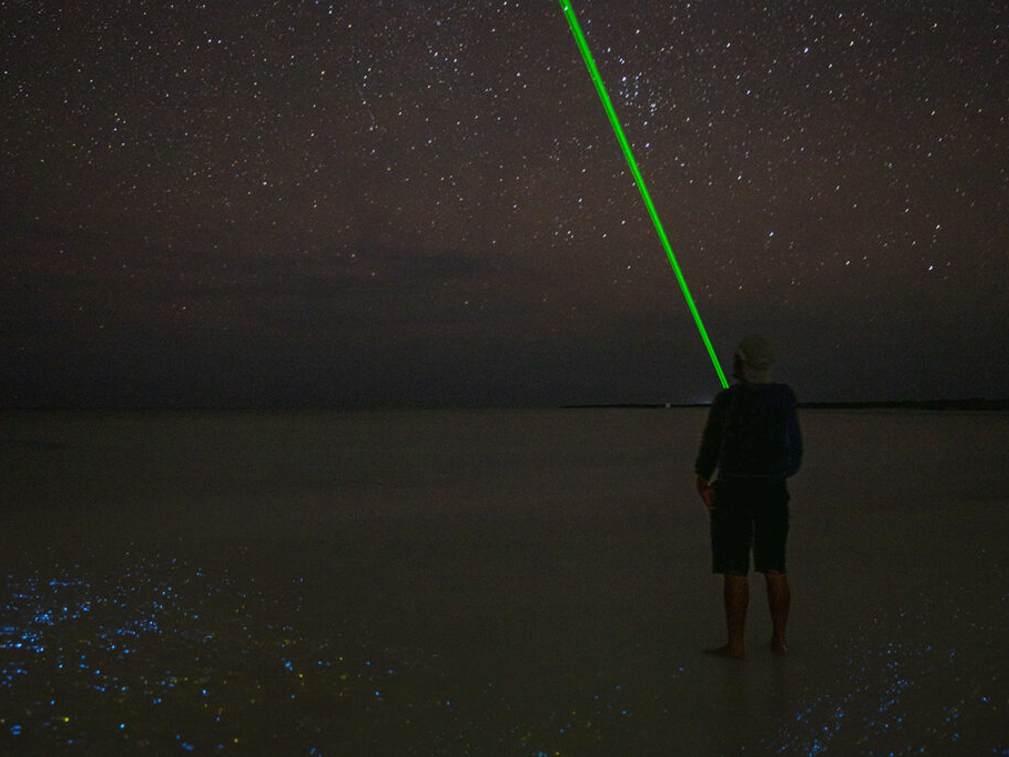 Excursión "TOUR DE BIOLUMINISENCIA EN RÍO LAGARTOS". "RÍO LAGARTOS BIOLUMINESCENCE EXPERIENCE" Tour, Río Lagartos, Yucatán, Mexico. 