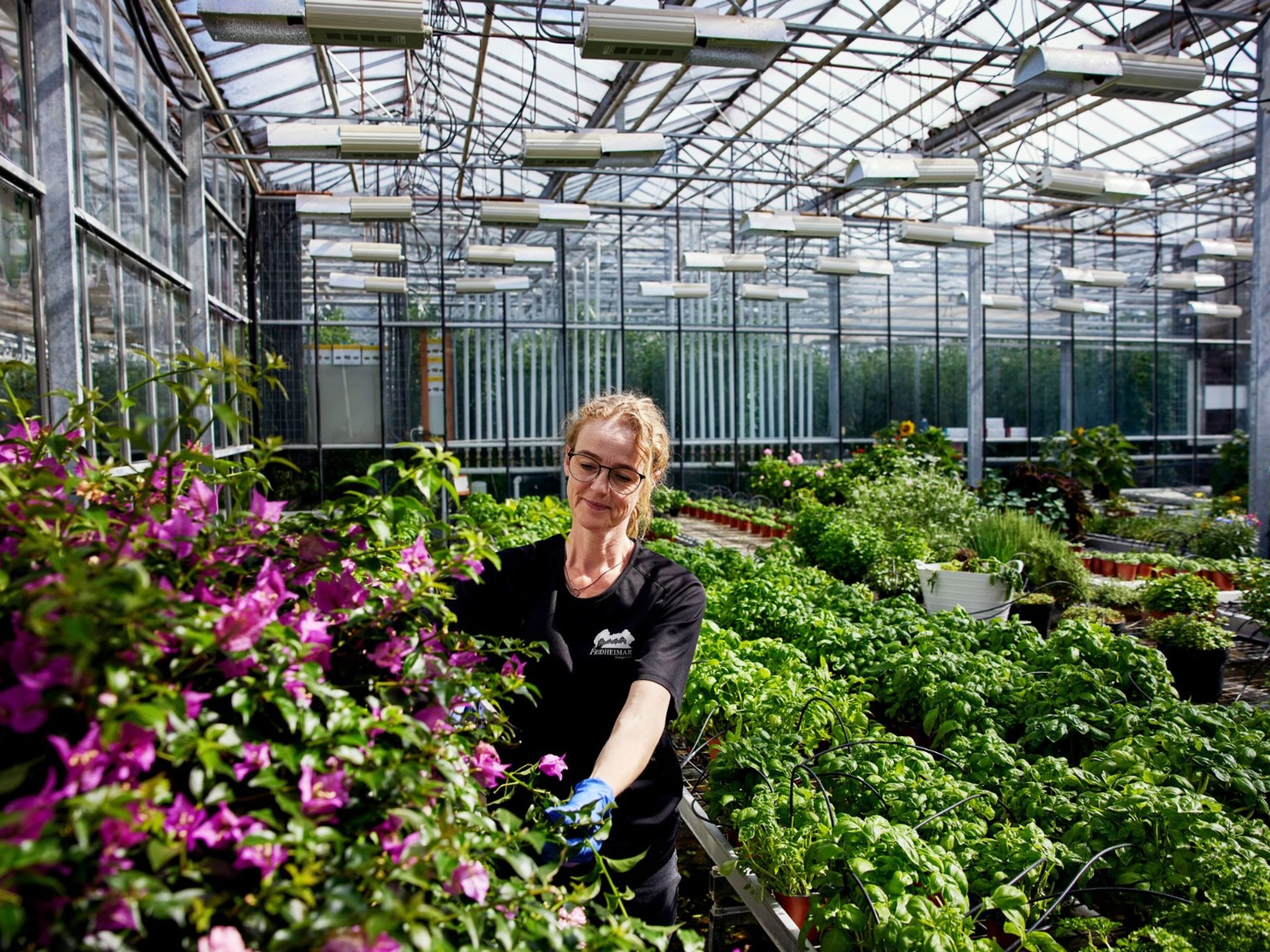 "GOLDEN CIRCLE + SNOWMOBILE" Private Tour. Tomato Farm Fridheimar, Iceland.