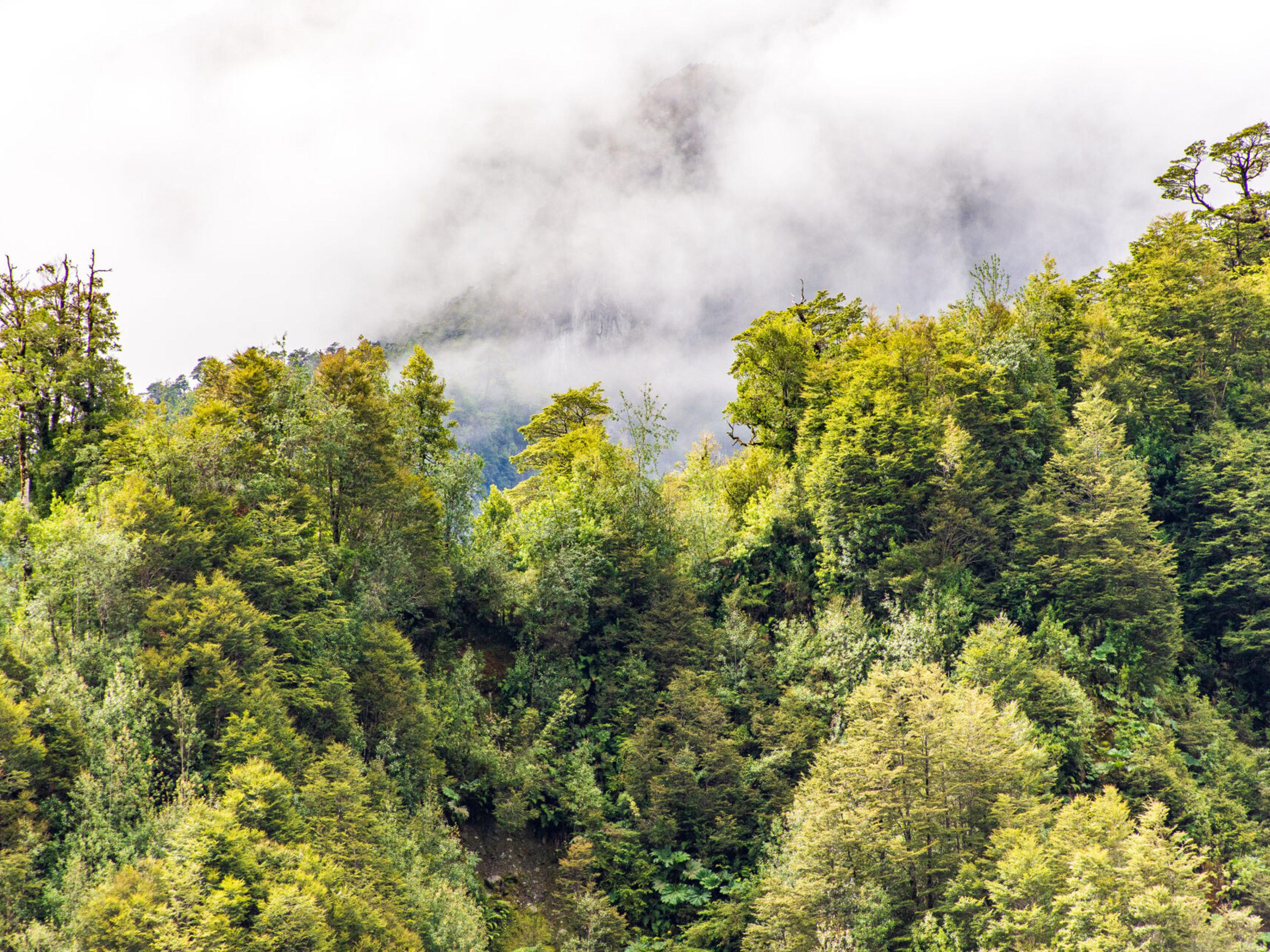 Tour ”PARC NATIONAL DE QUEULAT”. null