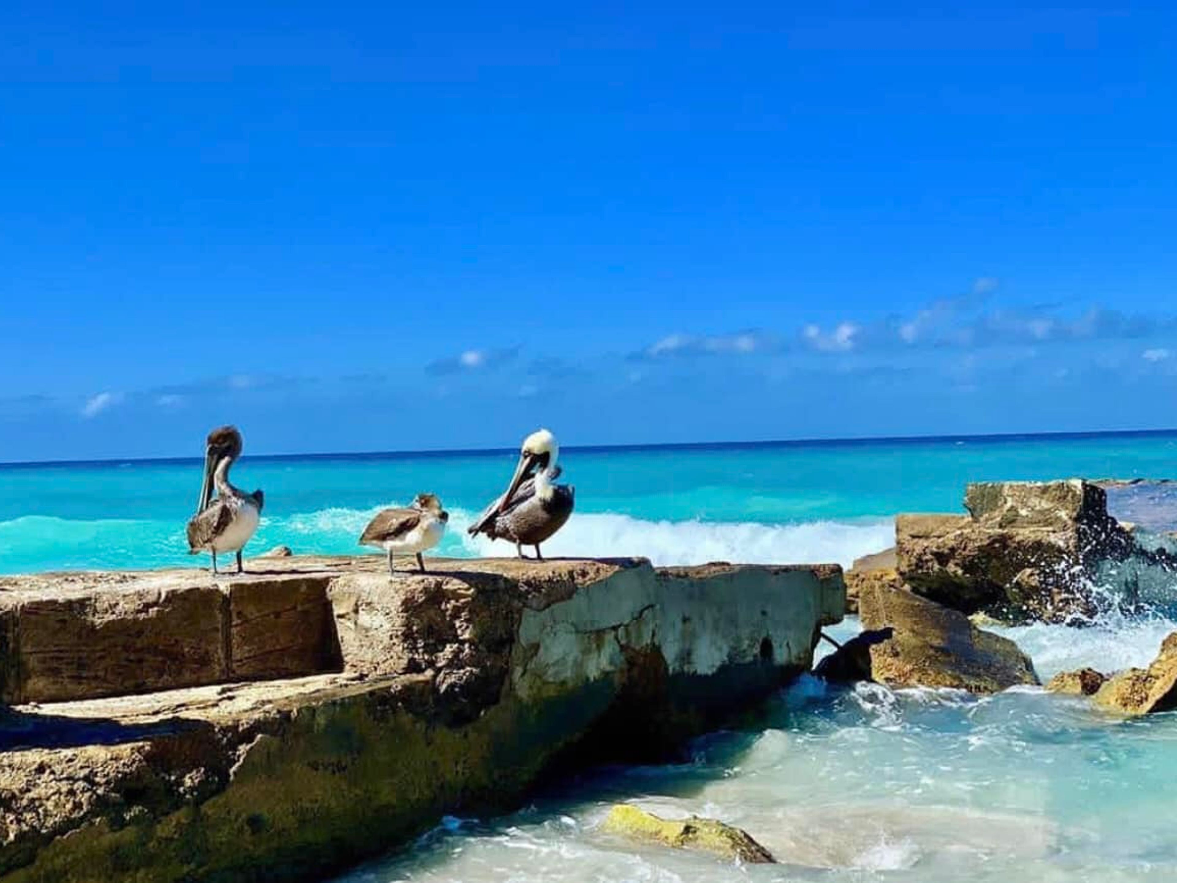 Jeep Safari “NATURE TOUR VARADERO”. Varadero beach panoramic view, Matanzas, Cuba.