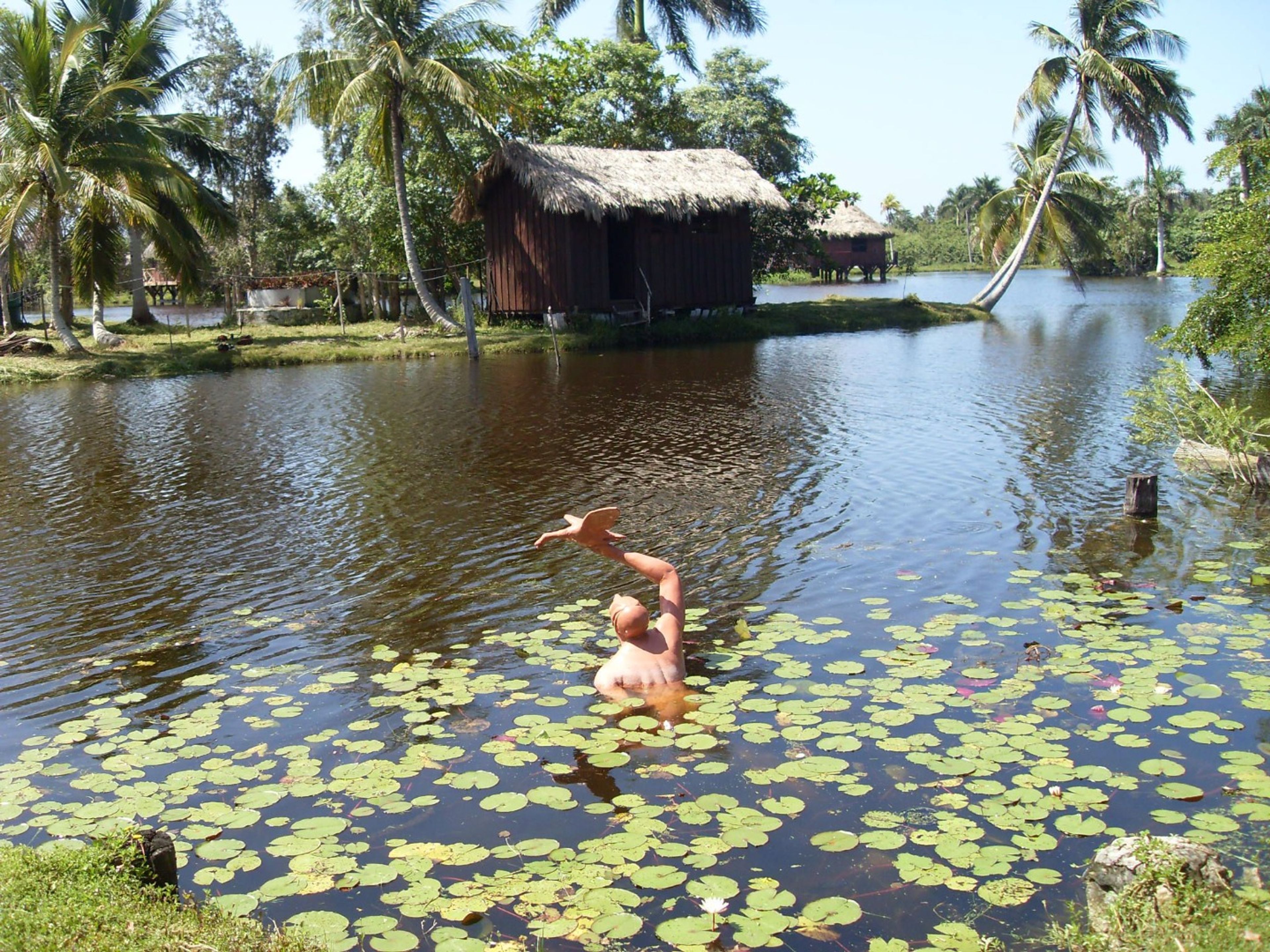 Excursão "VISITA ÀS CARAÍBAS"