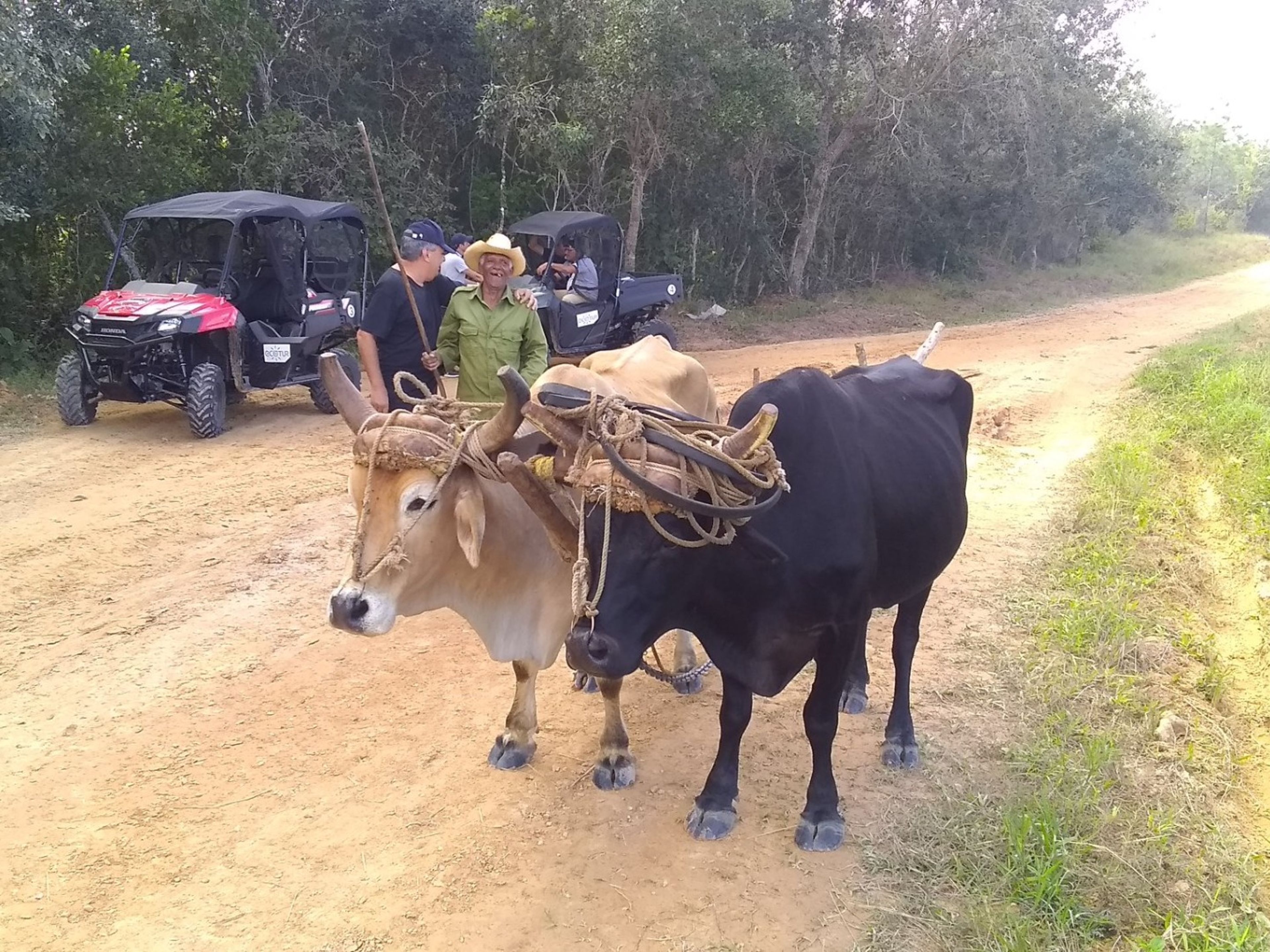 Tour “AVENTURES SUR ROUES DANS LA VALLÉE DE VIÑALES”. “Adventures on Wheels in Viñales Valley” Tour, Viñales, Pinar del Río, Cuba.