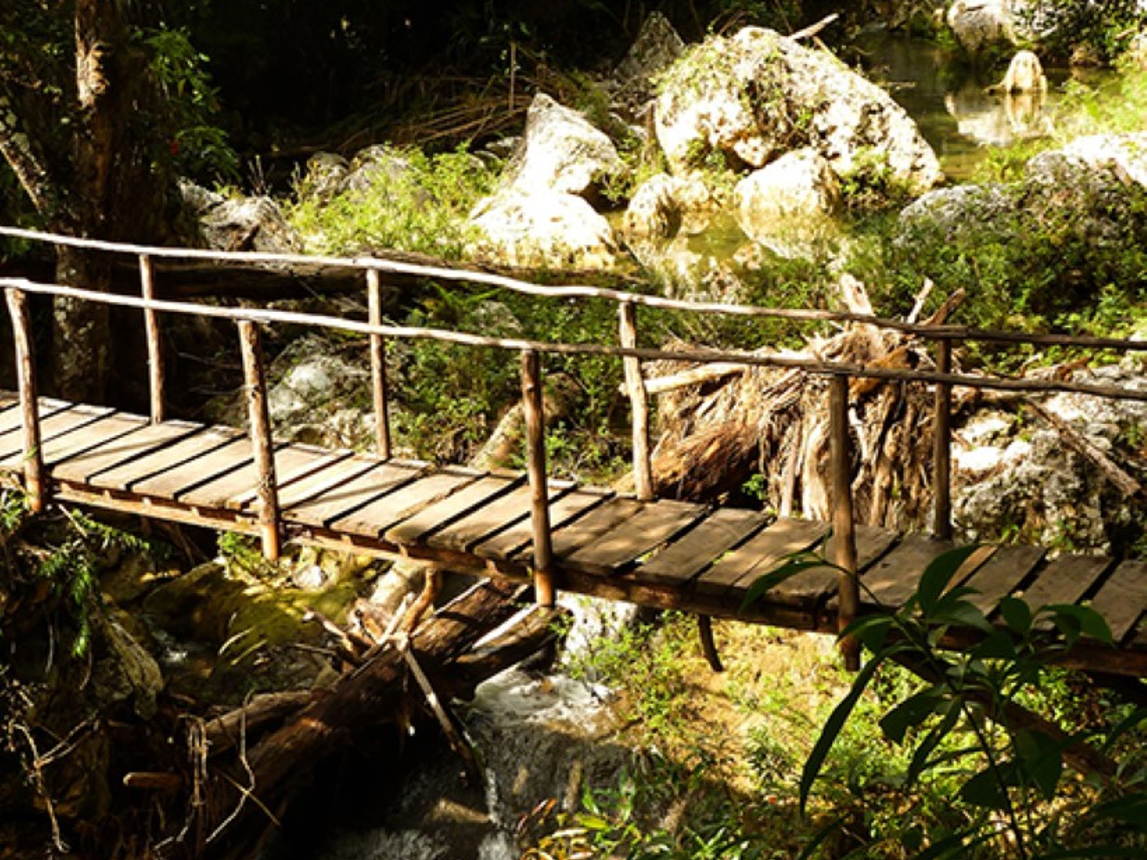 Typ "Природный парк Эль-Кубано". "EL CUBANO NATURAL PARK" tour