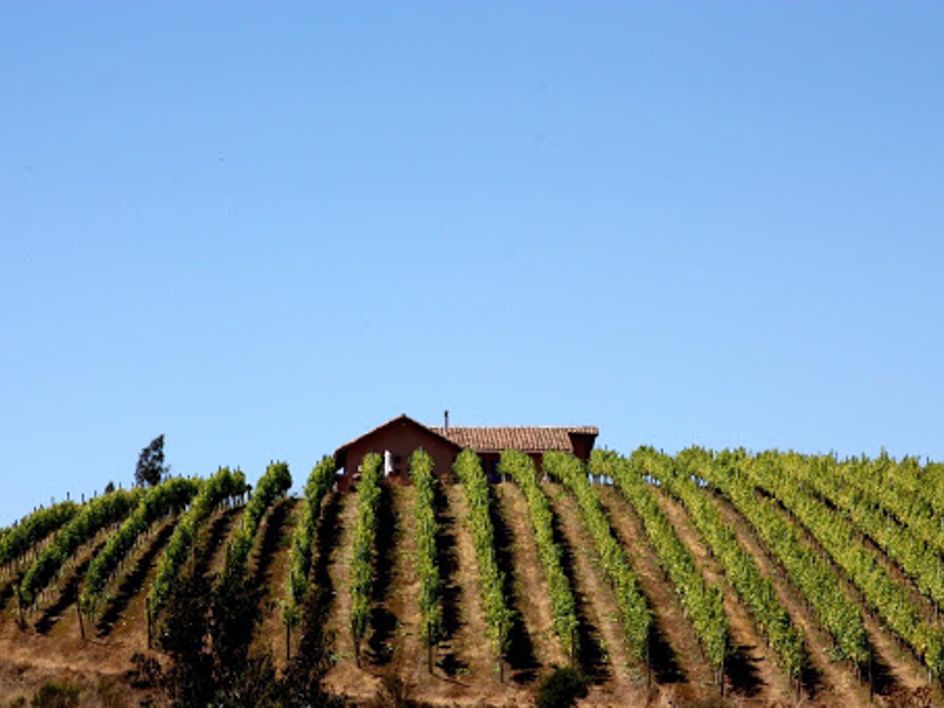 TOUR “VIGNETO MATETICO”.. null