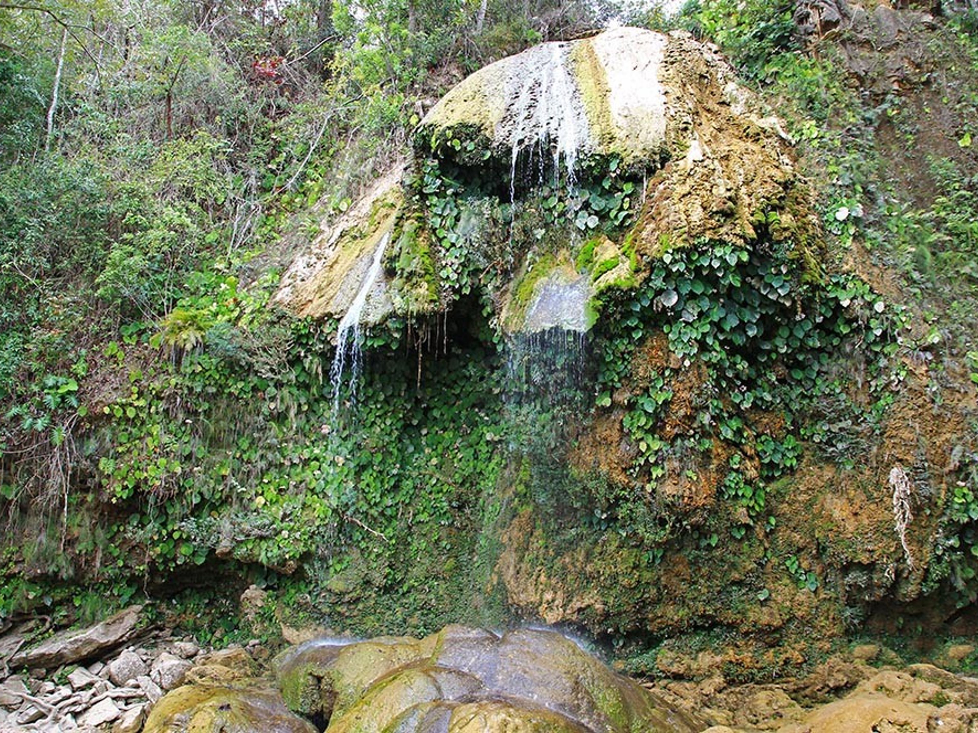 Excursión privada “SOROA - LAS TERRAZAS EN AUTOS CLÁSICOS AMERICANOS (TECHO DURO)". Stunning 21-meter-high Soroa waterfall view