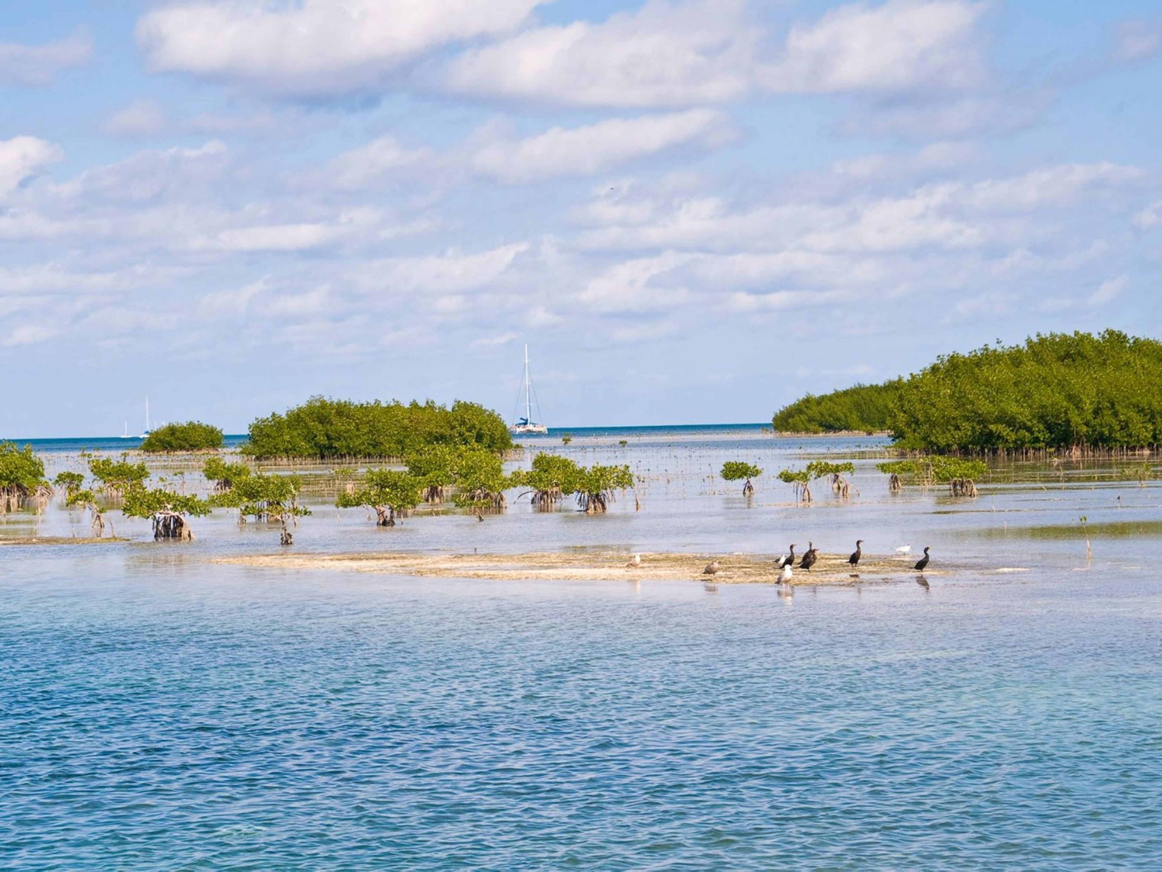 Tour "SEA TOUR". "SEA TOUR" Tour, Cayo Santa María, Villa Clara, Cuba.