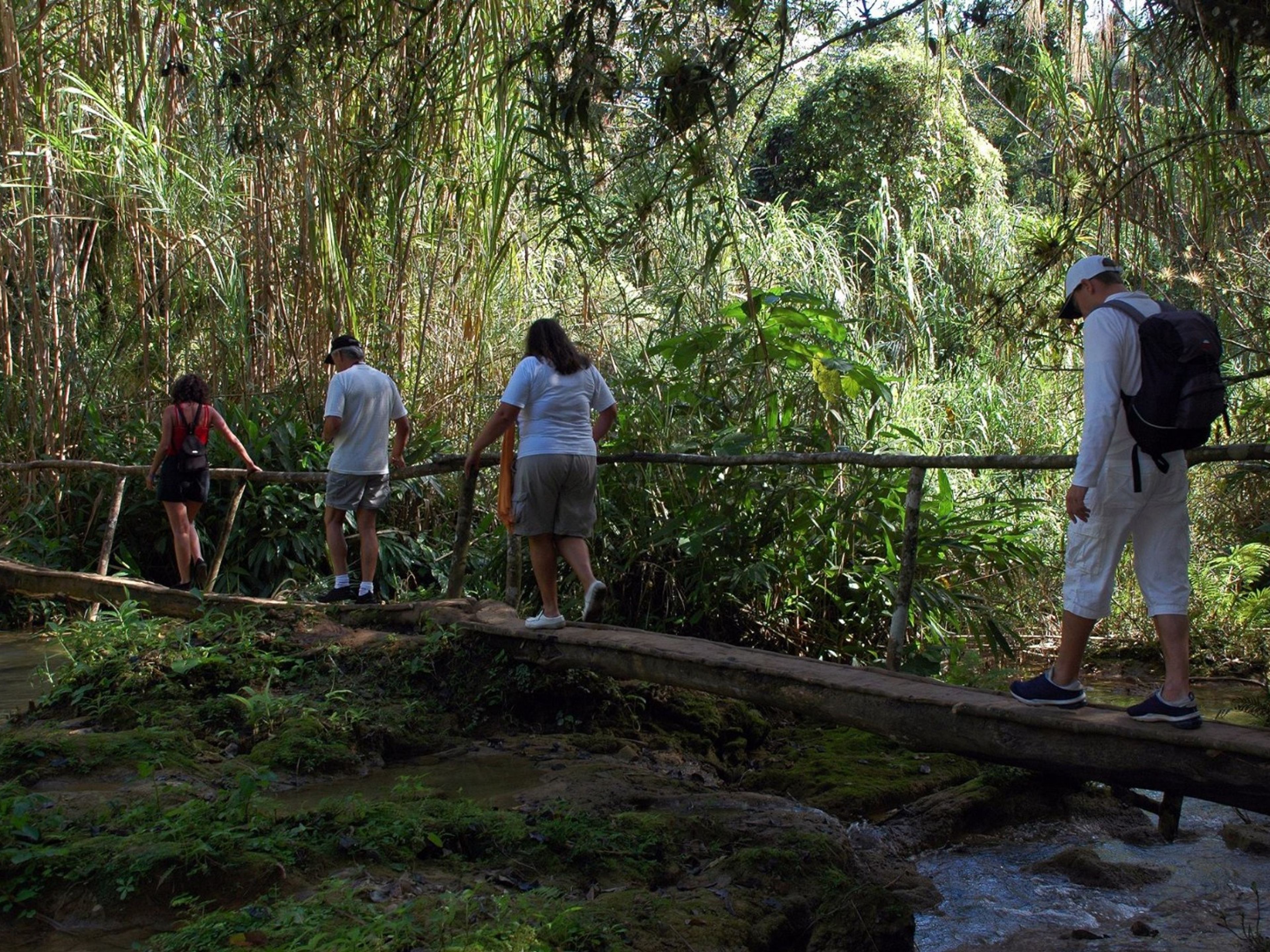 Excursión "TRINI – PARQUE NATURAL EL CUBANO". El Cubano Natural Park panoramic view, Topes de Collantes, Trinidad, Cuba.