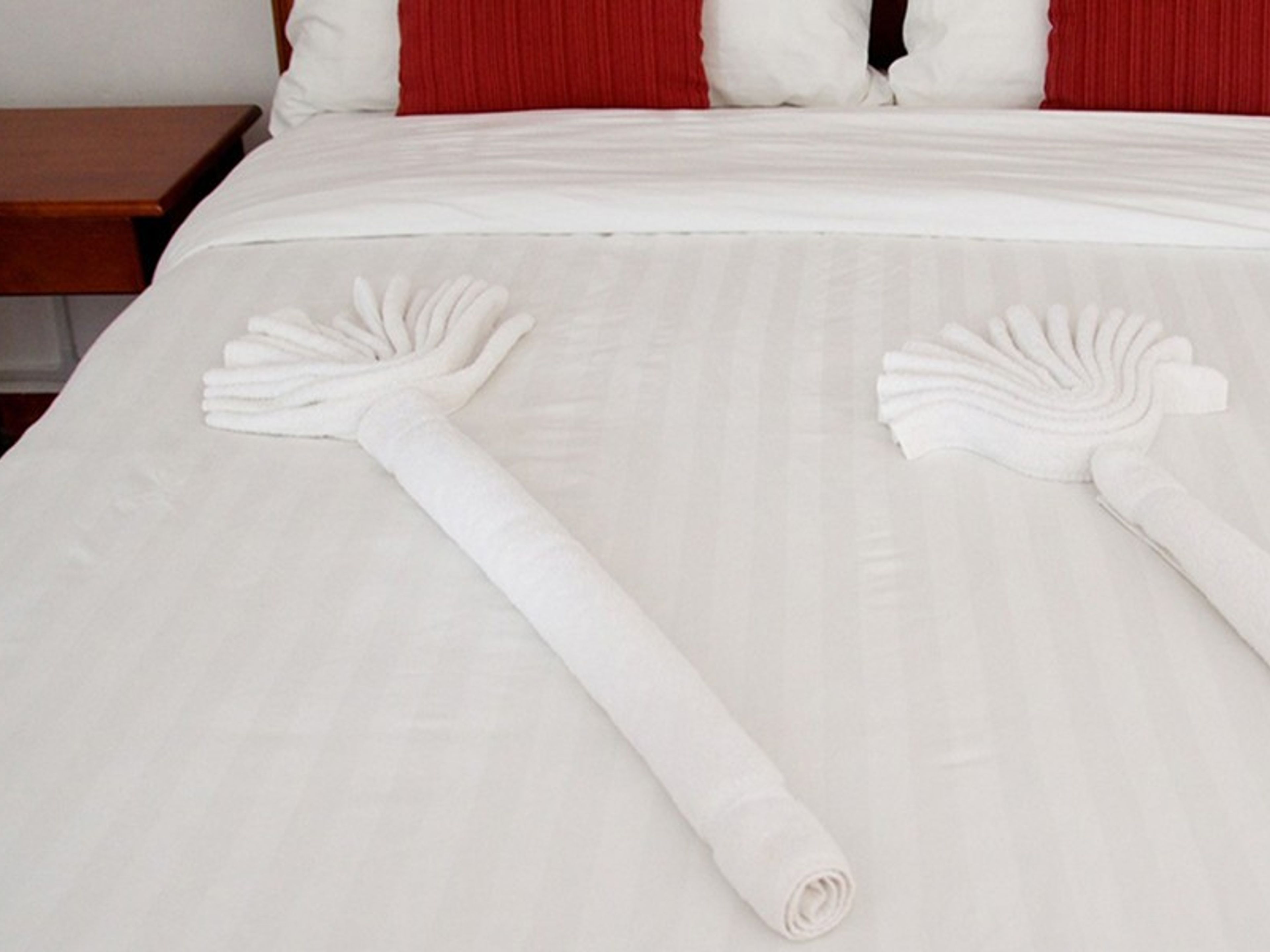 Hotel Refugio de MontañaRoom's details