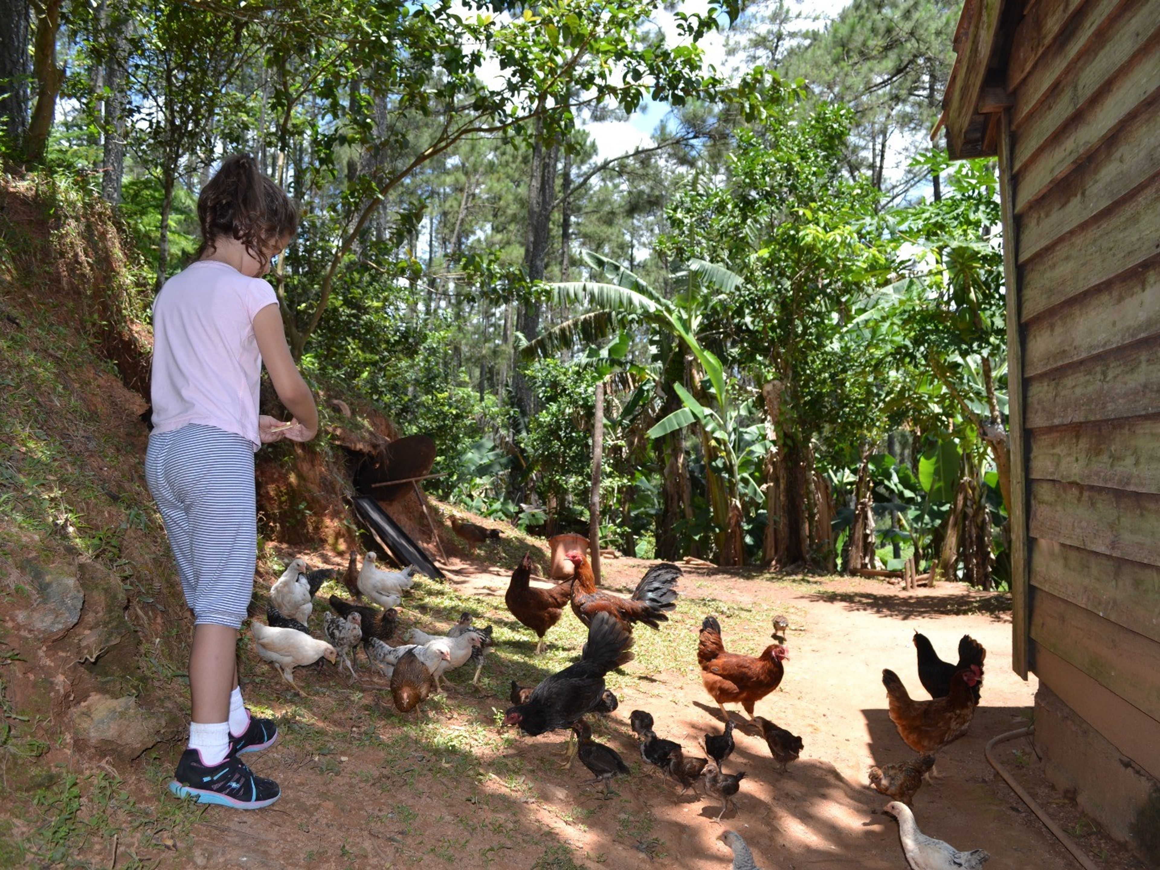 Finca La SabinaFarm details