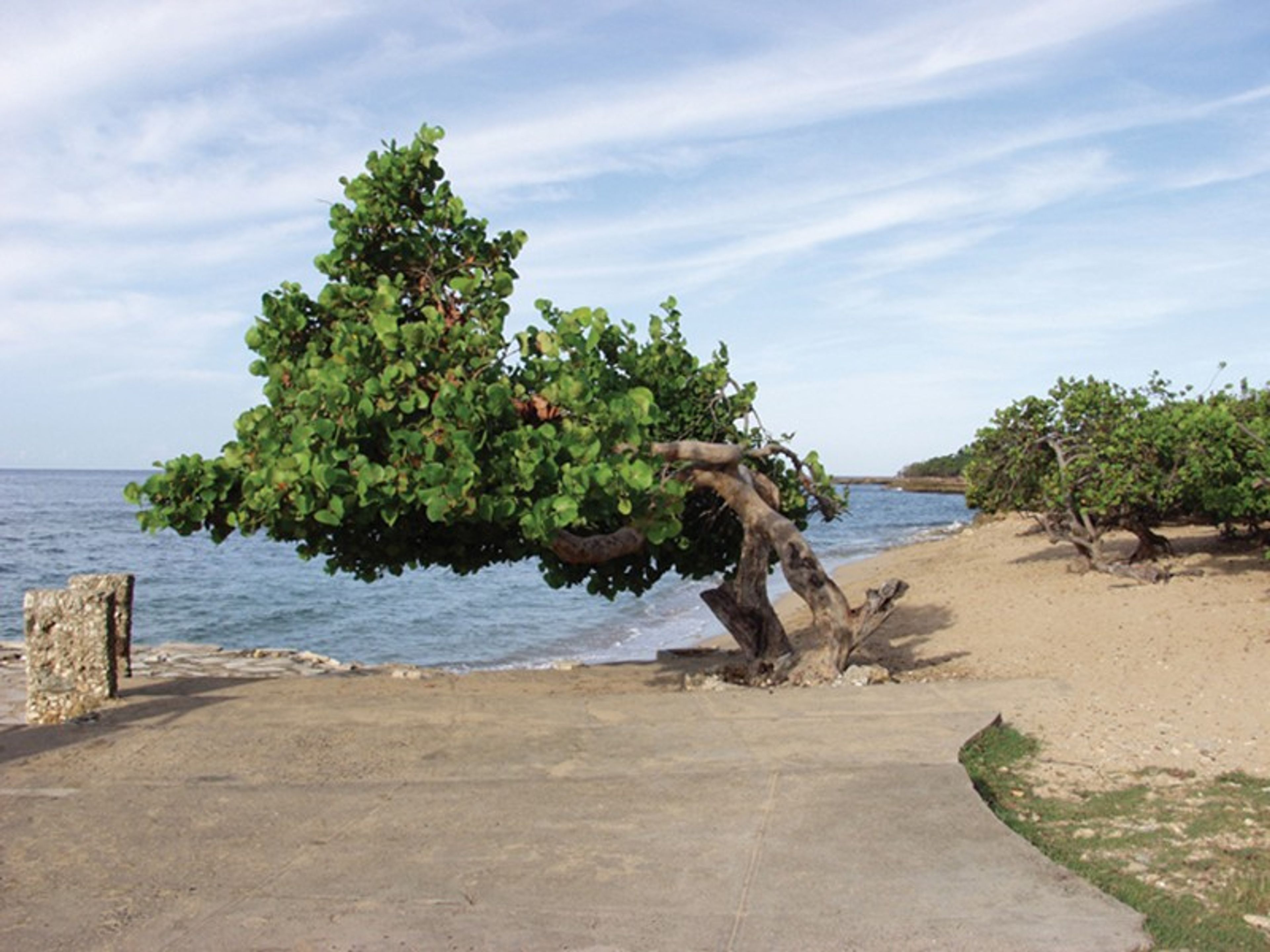 Кемпинг Villa CALETÓN BLANCOPanoramic beach view