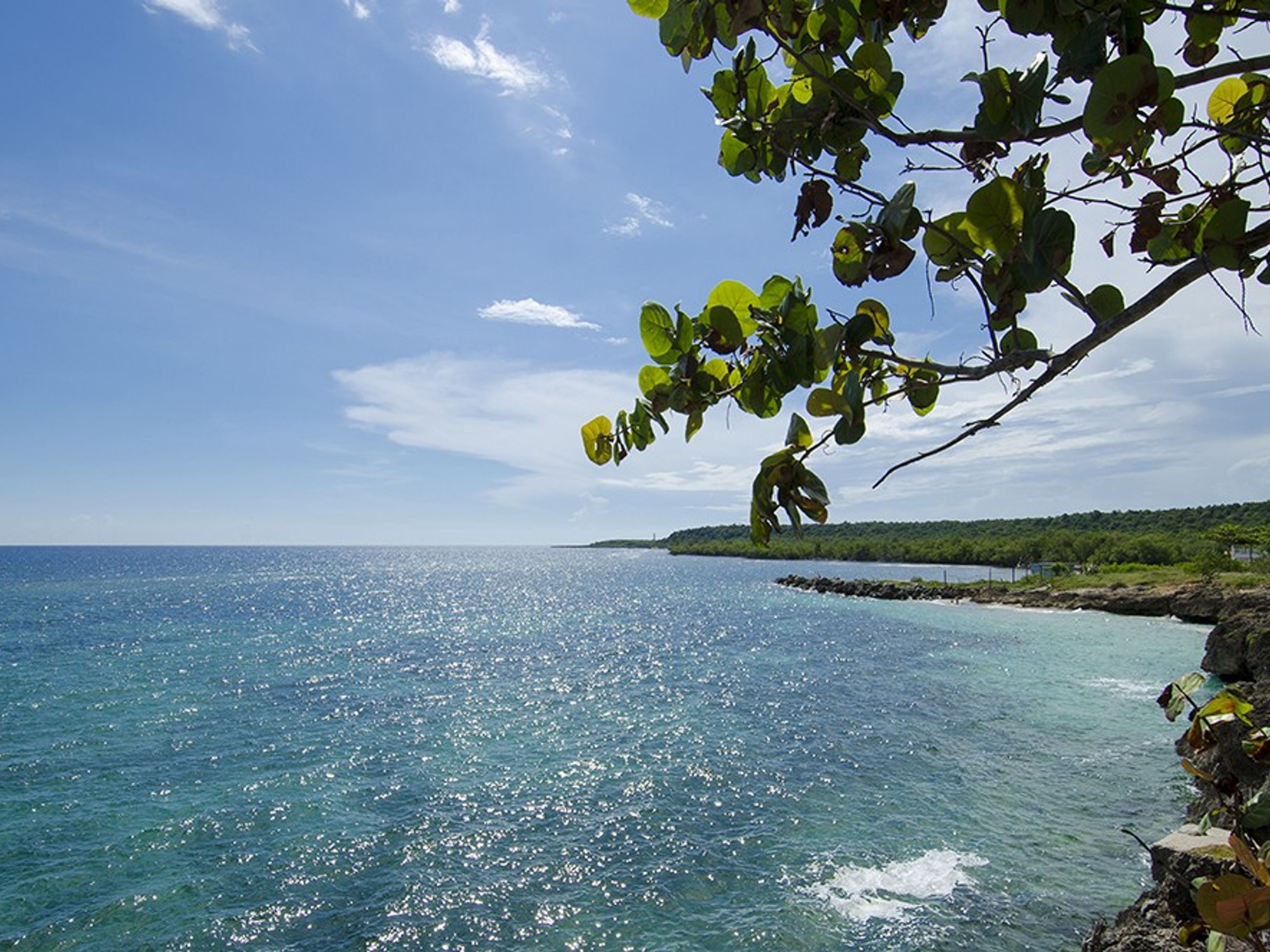 GRAN CARIBE FARO LUNA HôtelPanoramic shore view