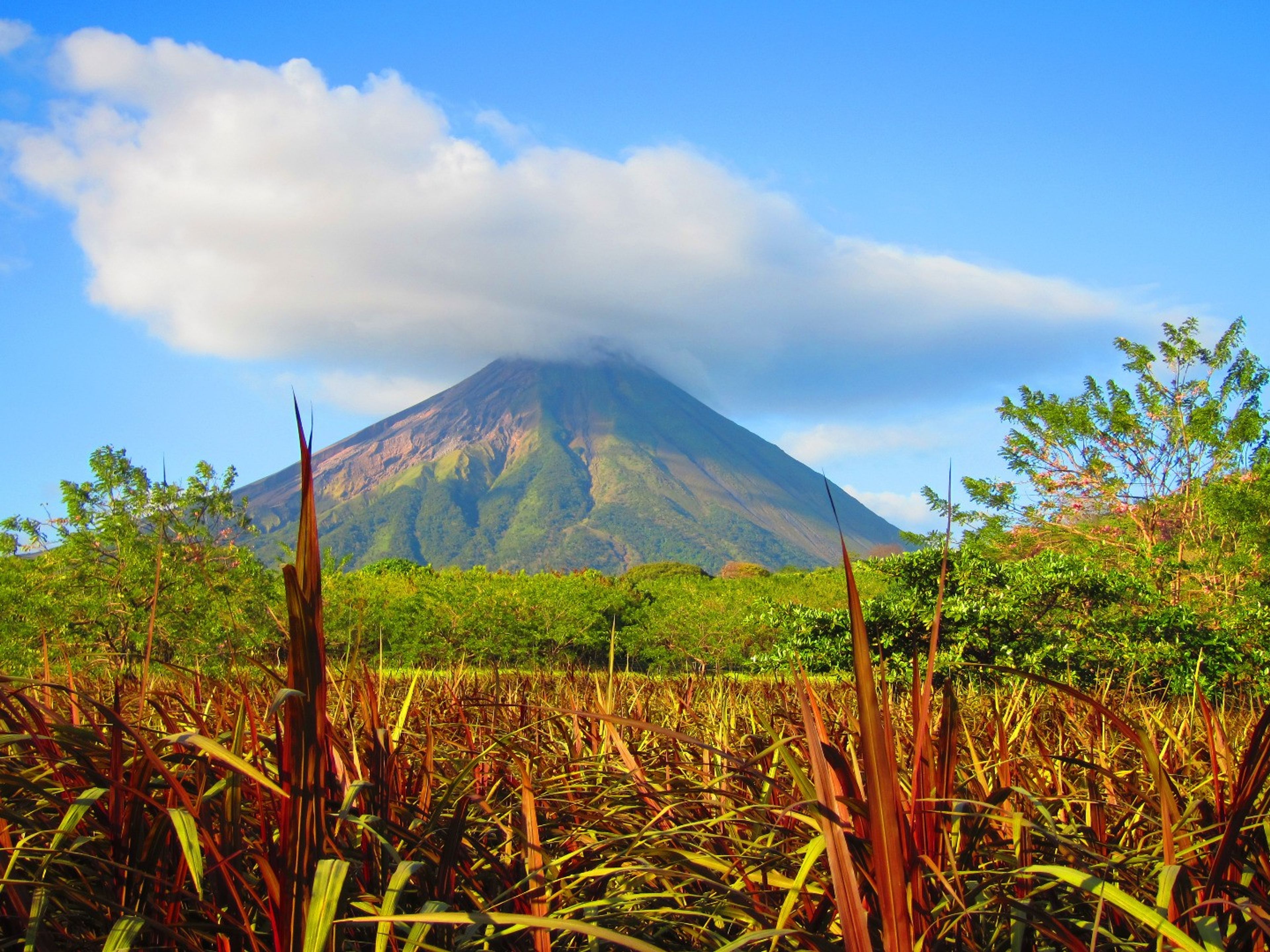 Ometepe Island HomestayConcepción Volcano panoramic view, Ometepe island, Nicaragua
