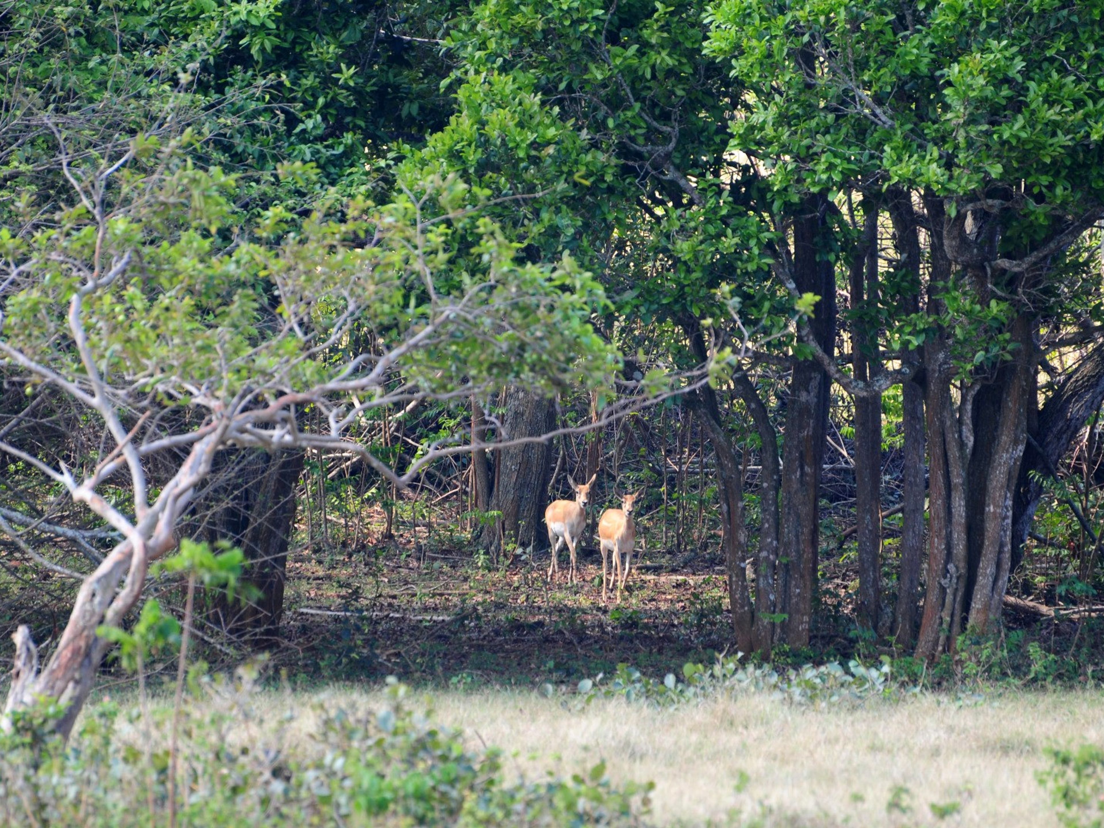 Villa CAYO SAETÍACayo Saetía natural and marine park panoramic view, Holguín