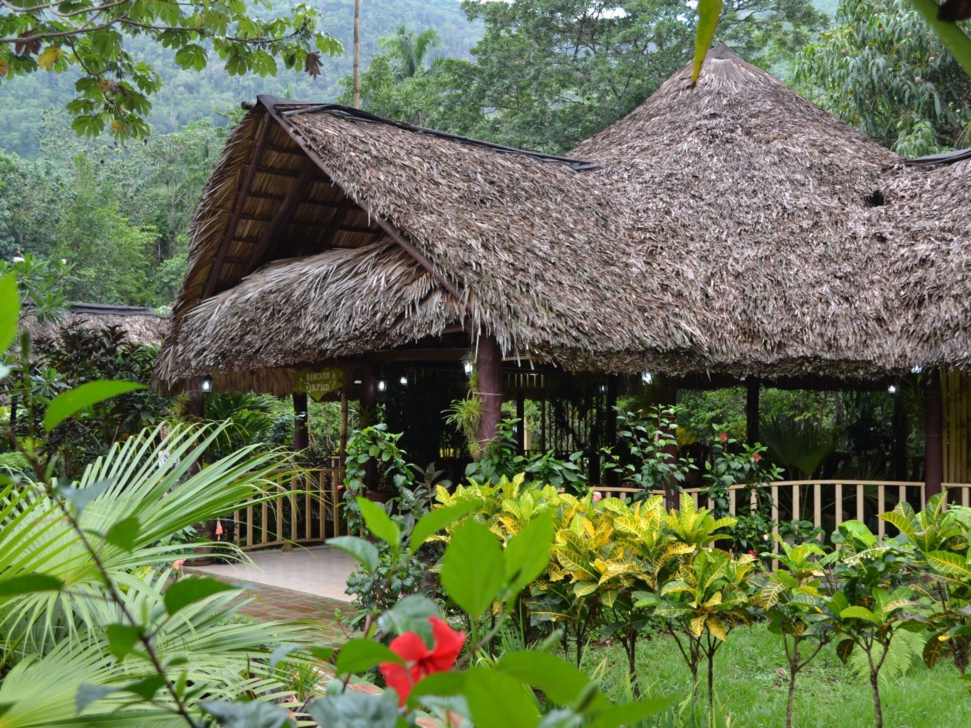 Finca JaricoPanoramic farm view