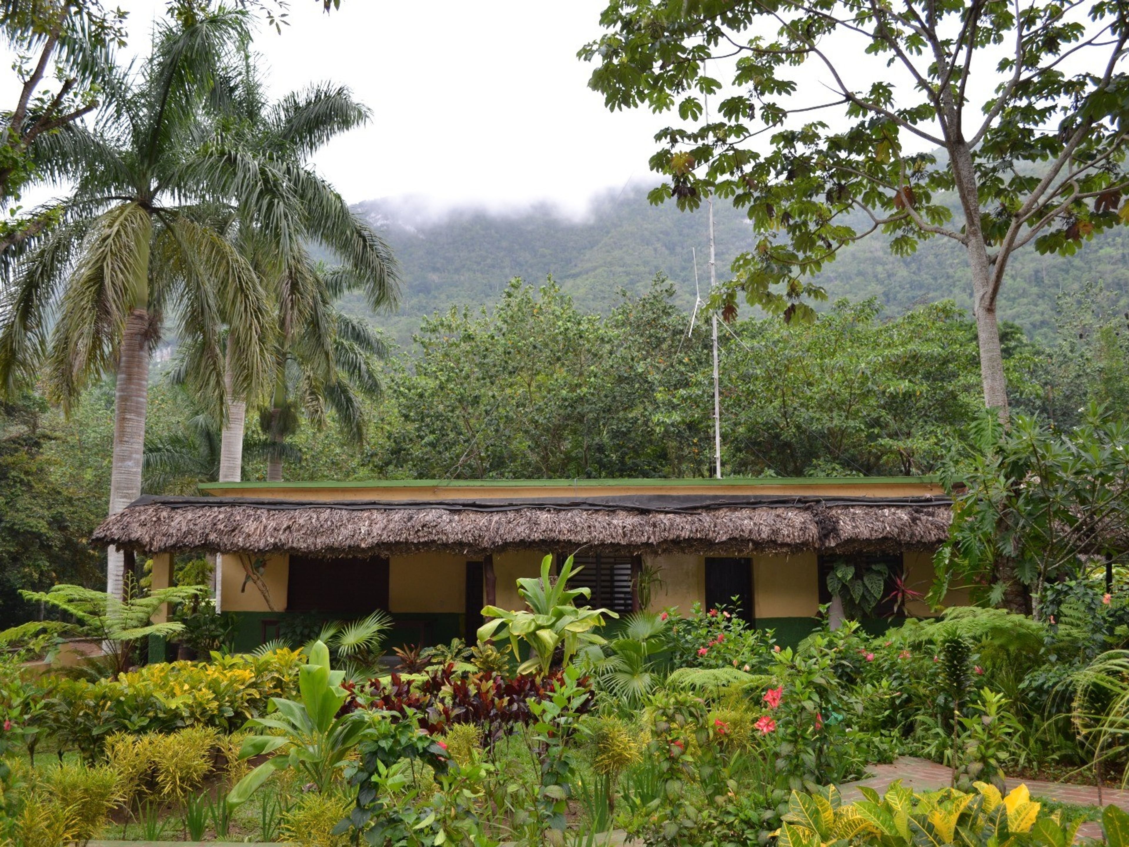 Finca JaricoPanoramic farm view