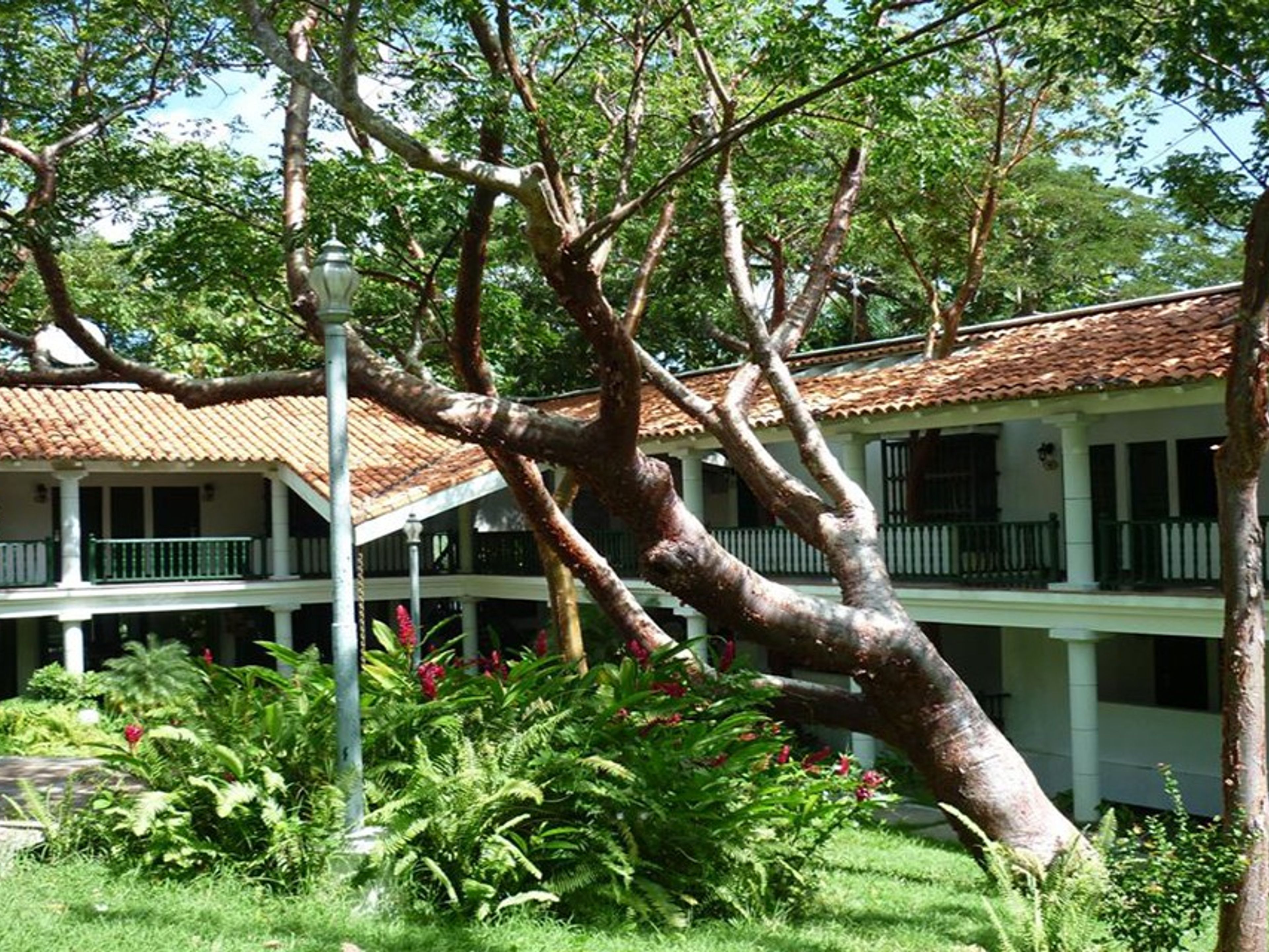 Moka HotelPanoramic hotel view