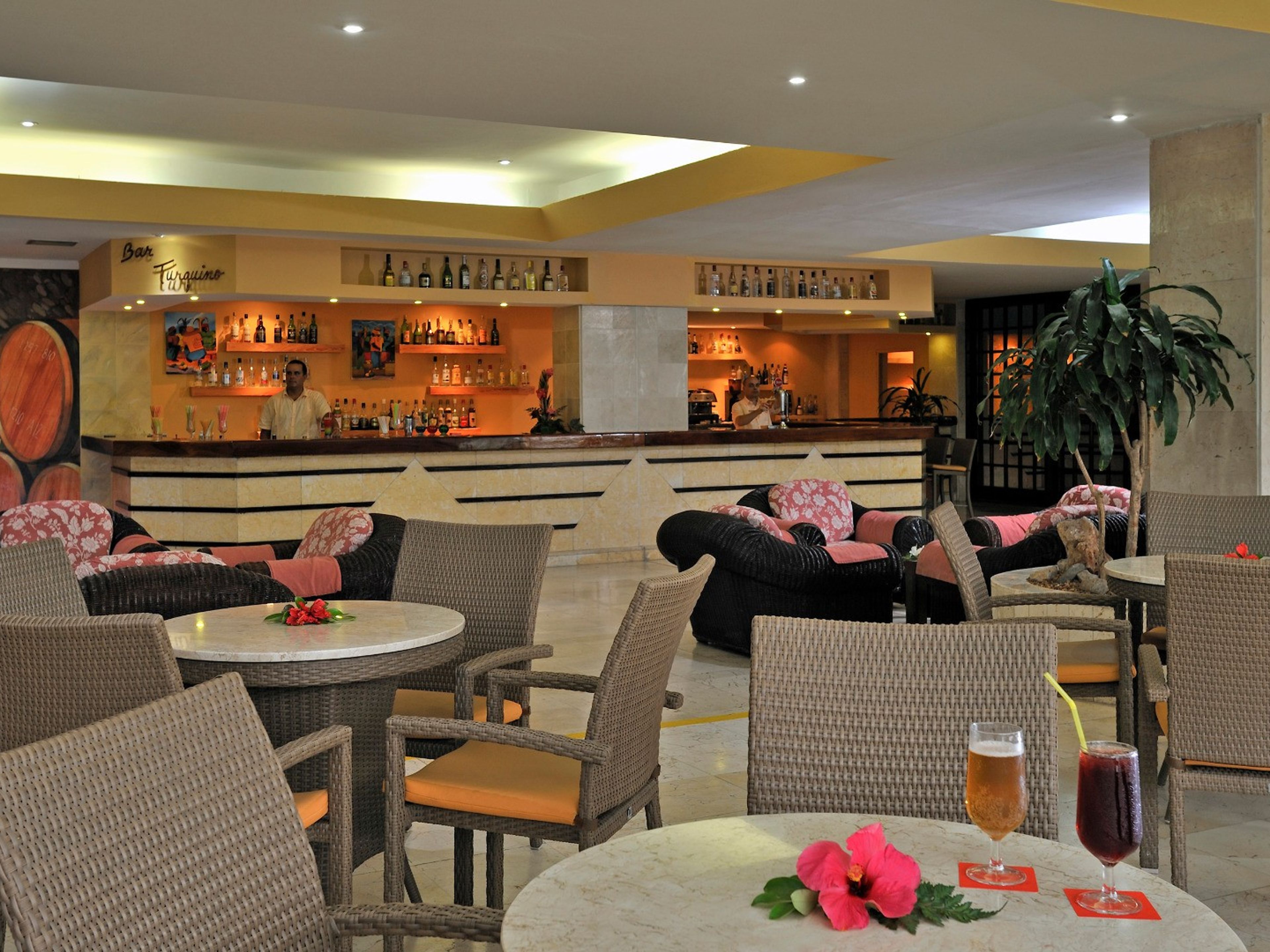 SOL PALMERAS ALL INCLUSIVE HOTEL & BUNGALOWSCafé BarTurquino