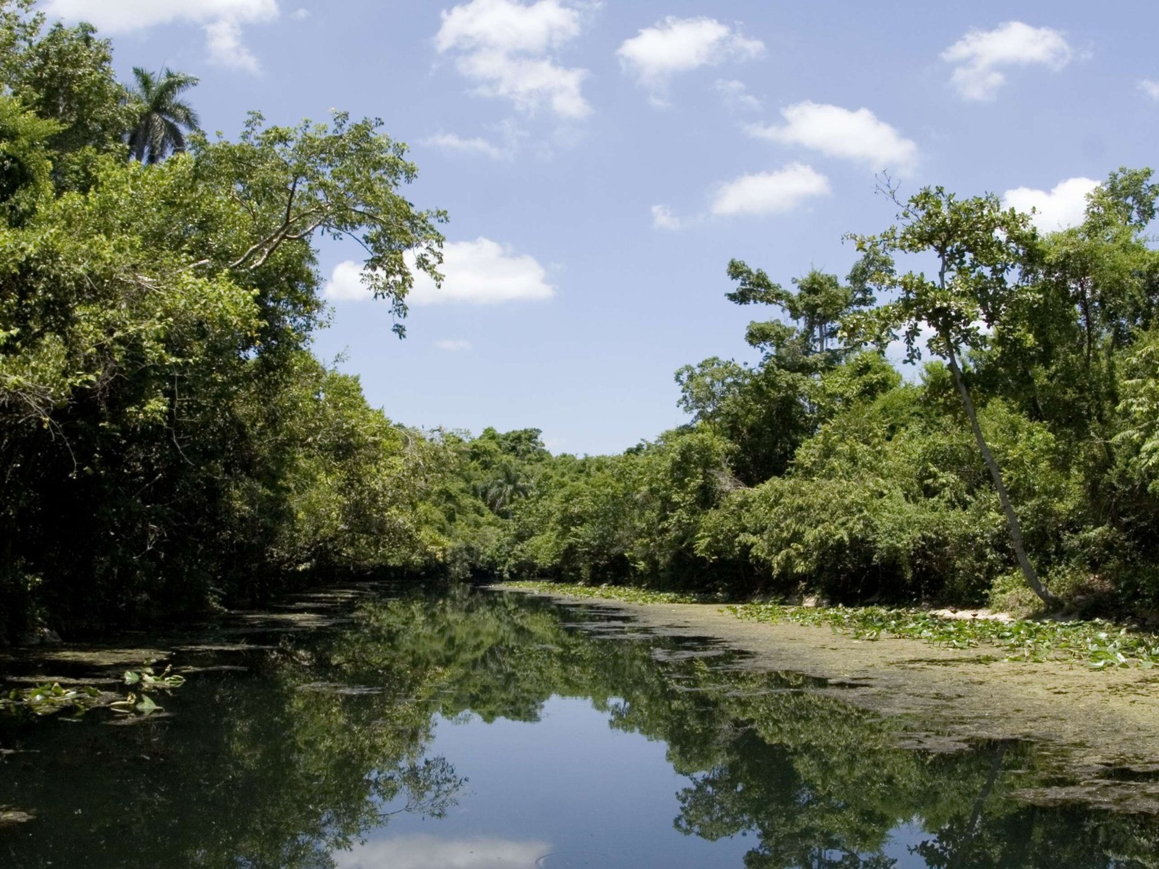 ISLAZUL LAS YAGRUMAS HôtelAriguanabo river