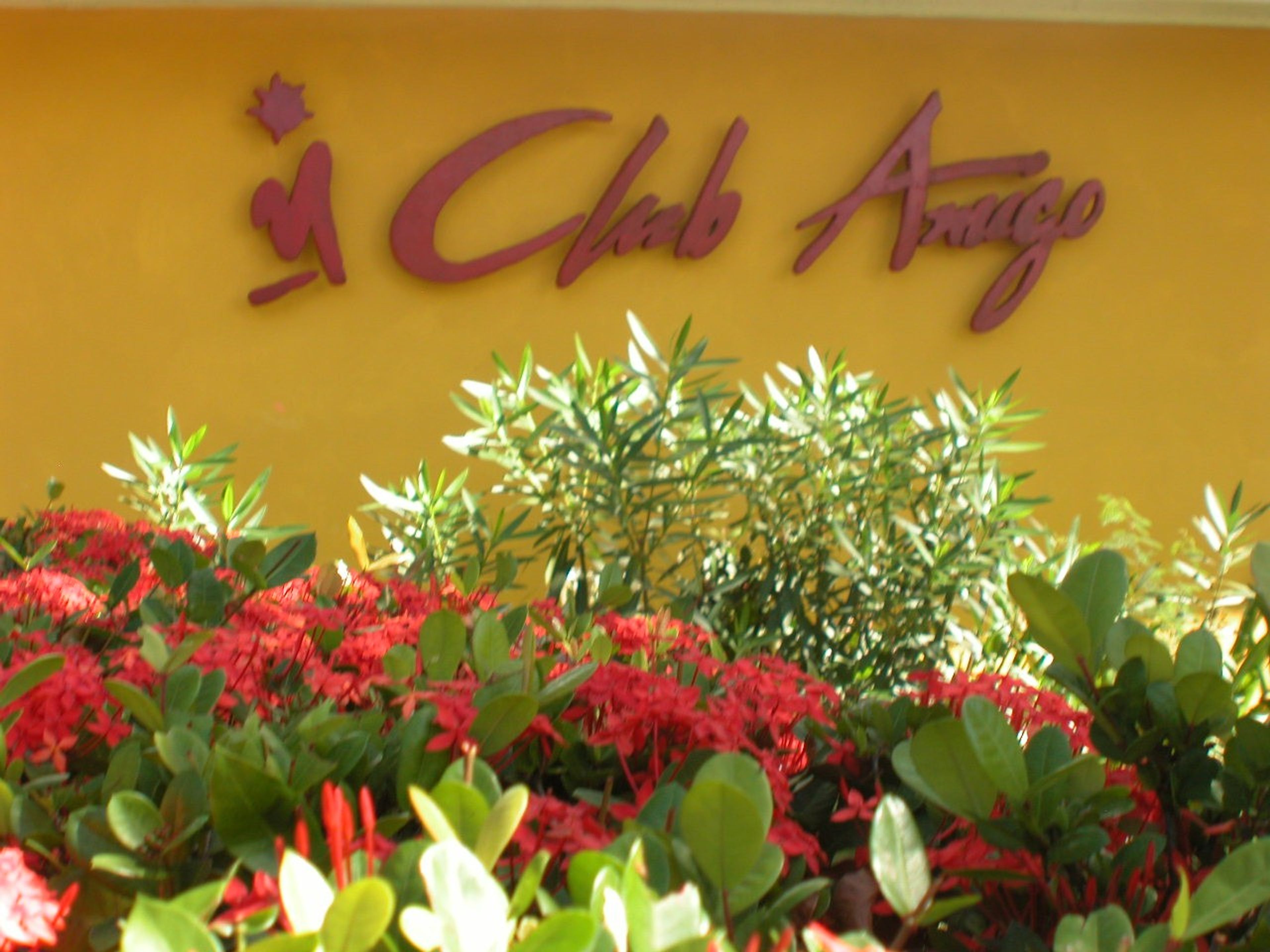 Club Amigo Mayanabo HotelHotel view