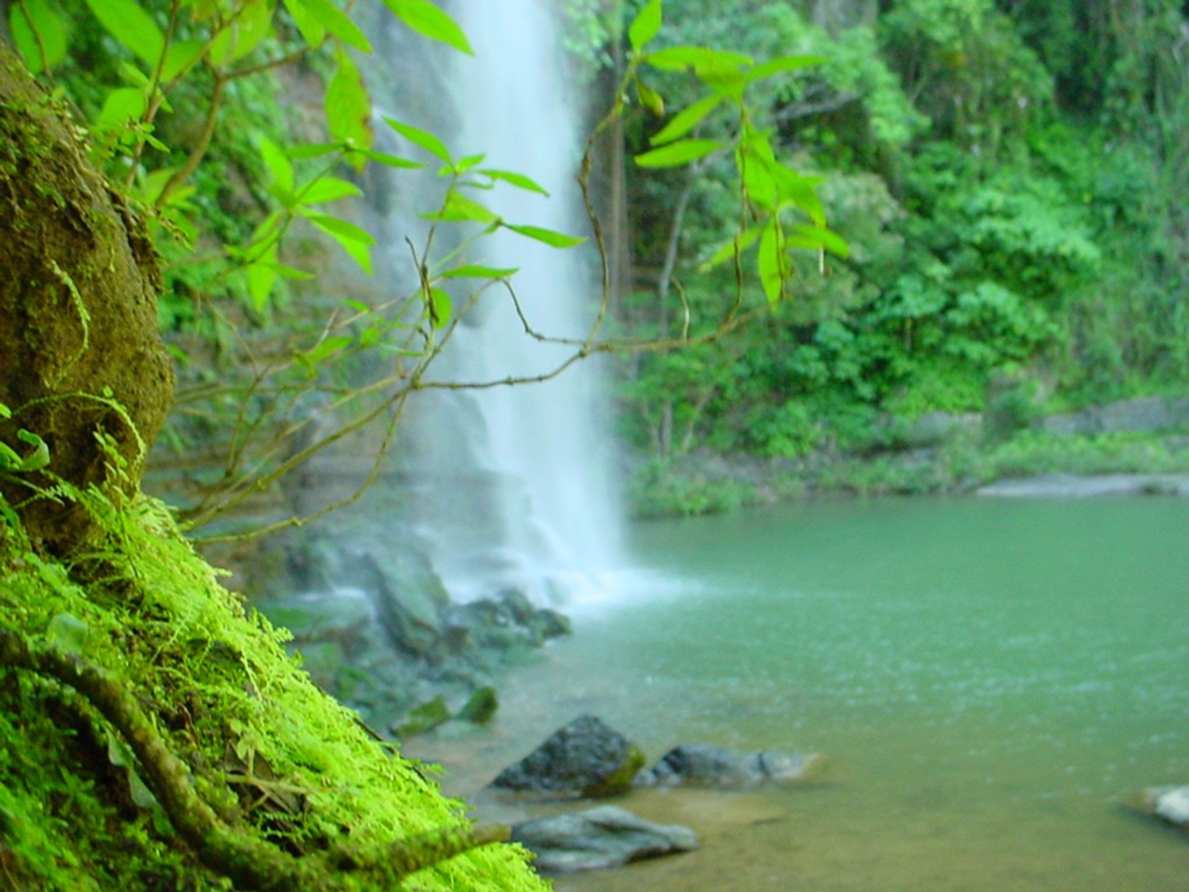 Интернациональная вилла EL SALTÓNThe beautiful waterfall El Saltón, 30 meters high.