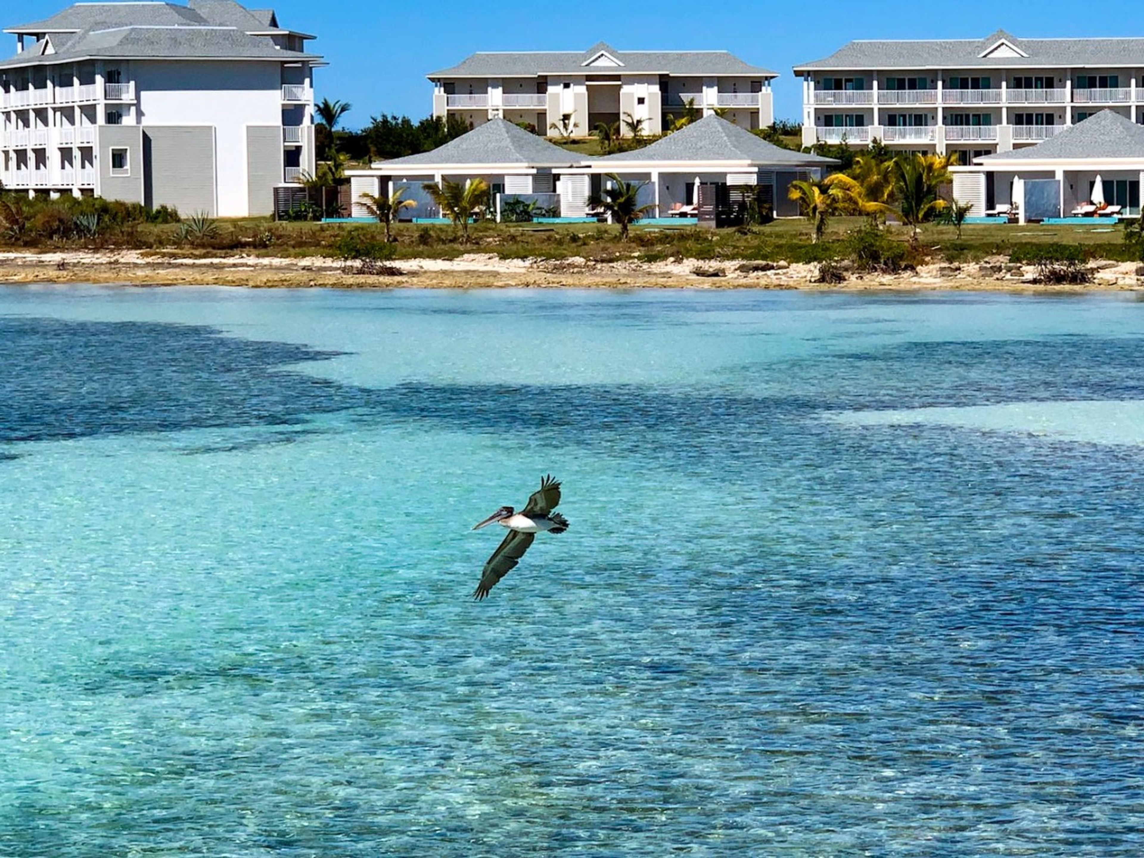 Hôtel PLAYA LUXURY CAYO GUILLERMO - Adultes seulement de plus de 13 ansHotel´s panoramic view