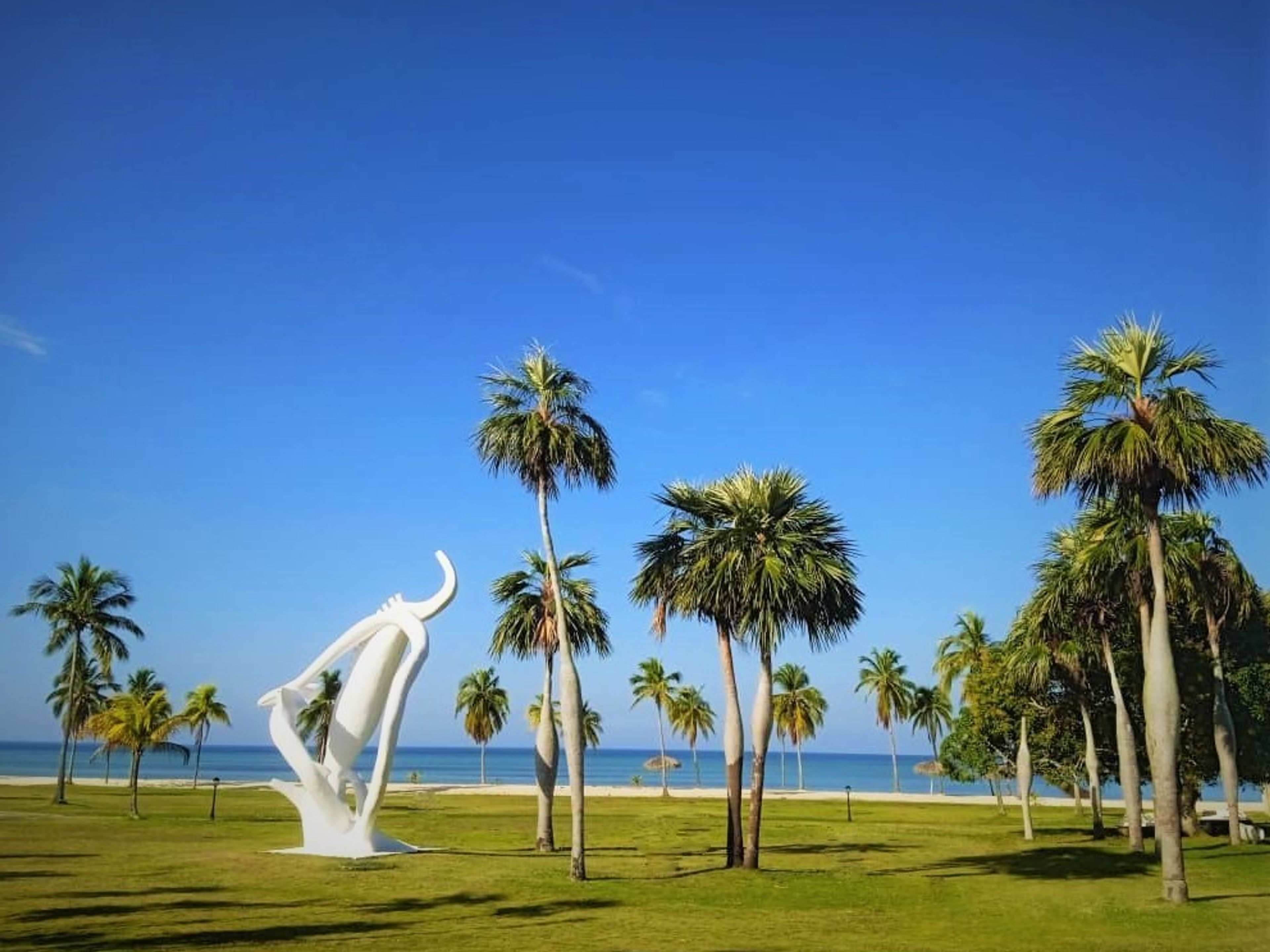 CIB EL COLONY HotelHotel's beach view