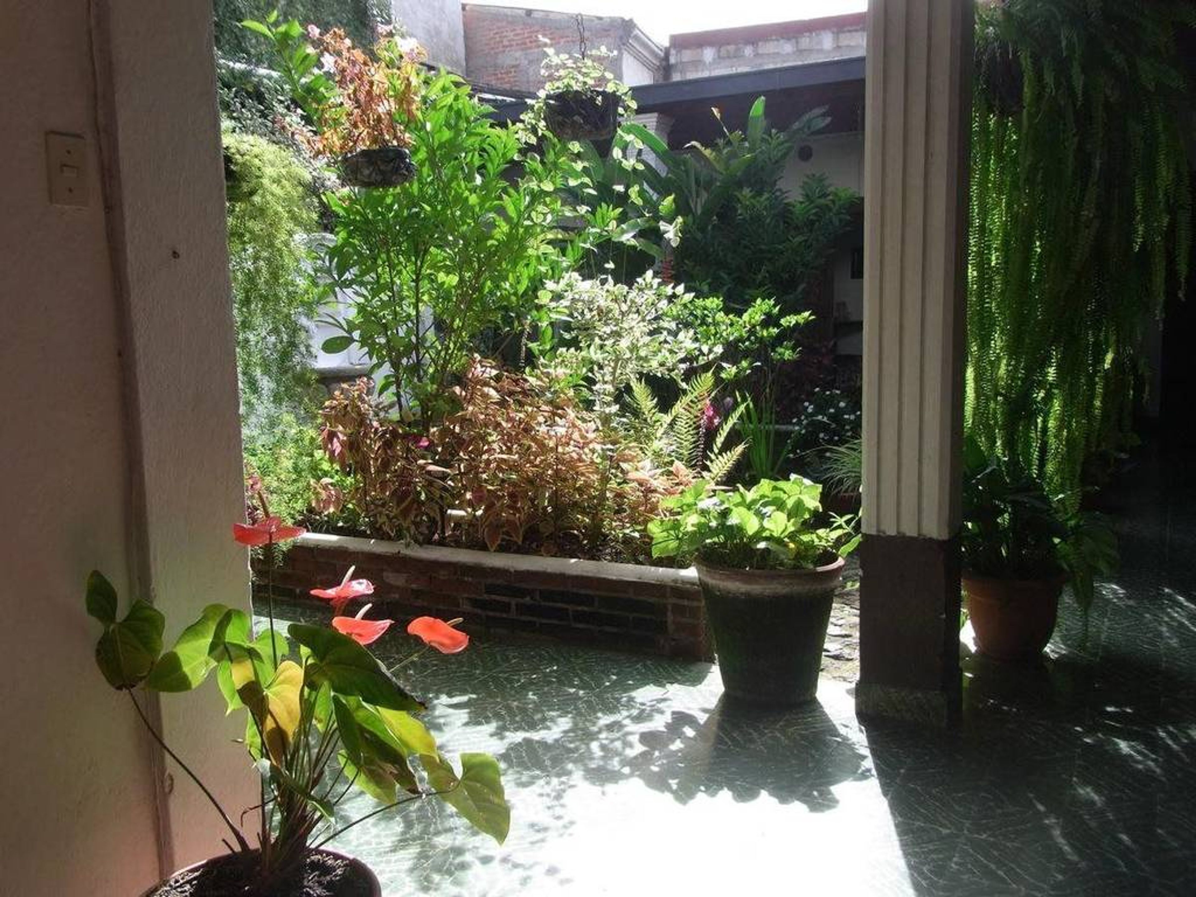 Posada La Merced AntiguaHotel's indoor patio-garden view