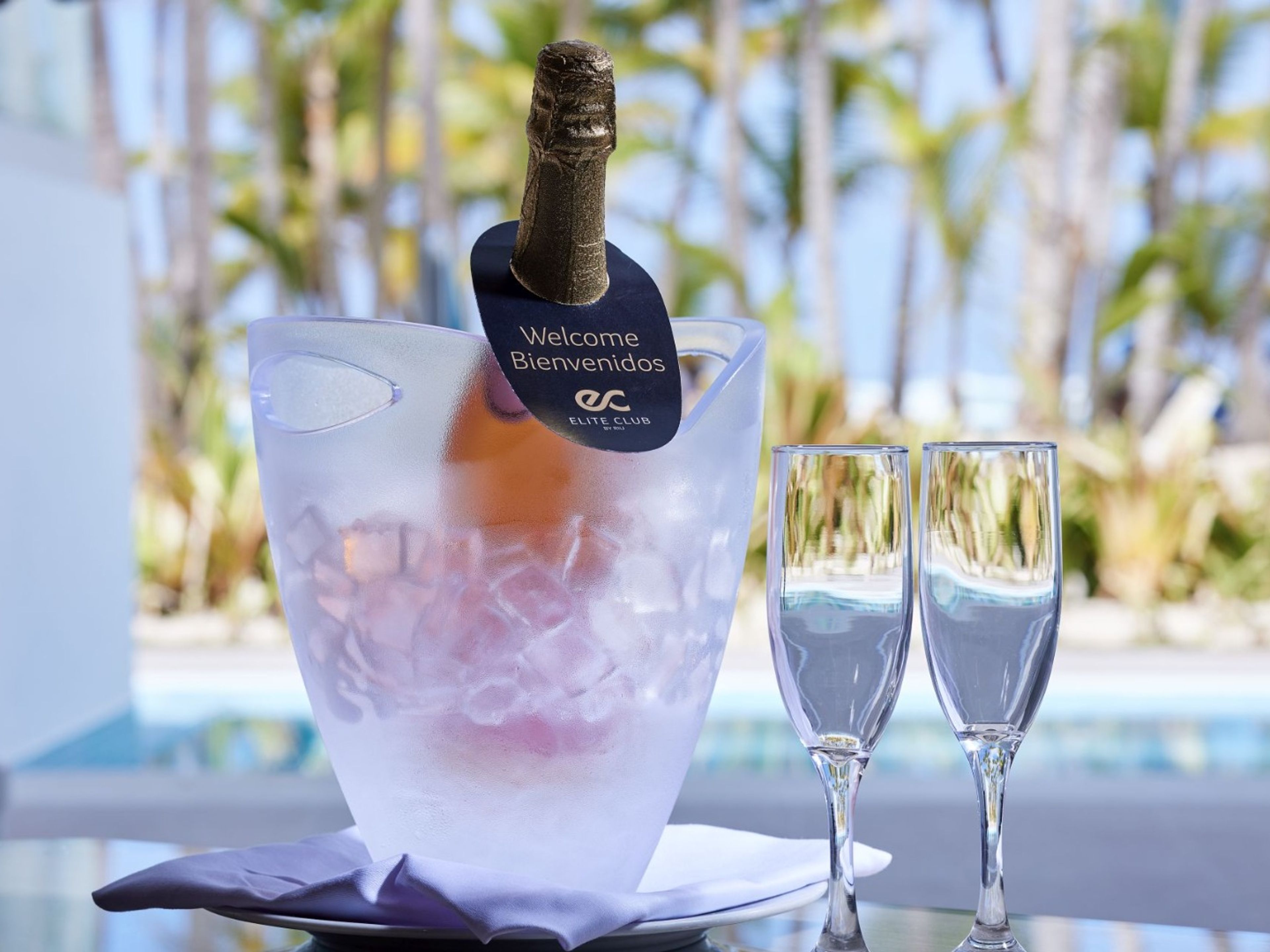 RIU PALACE MACAO Hotel - Adults Only Over 18 Years Oldnull