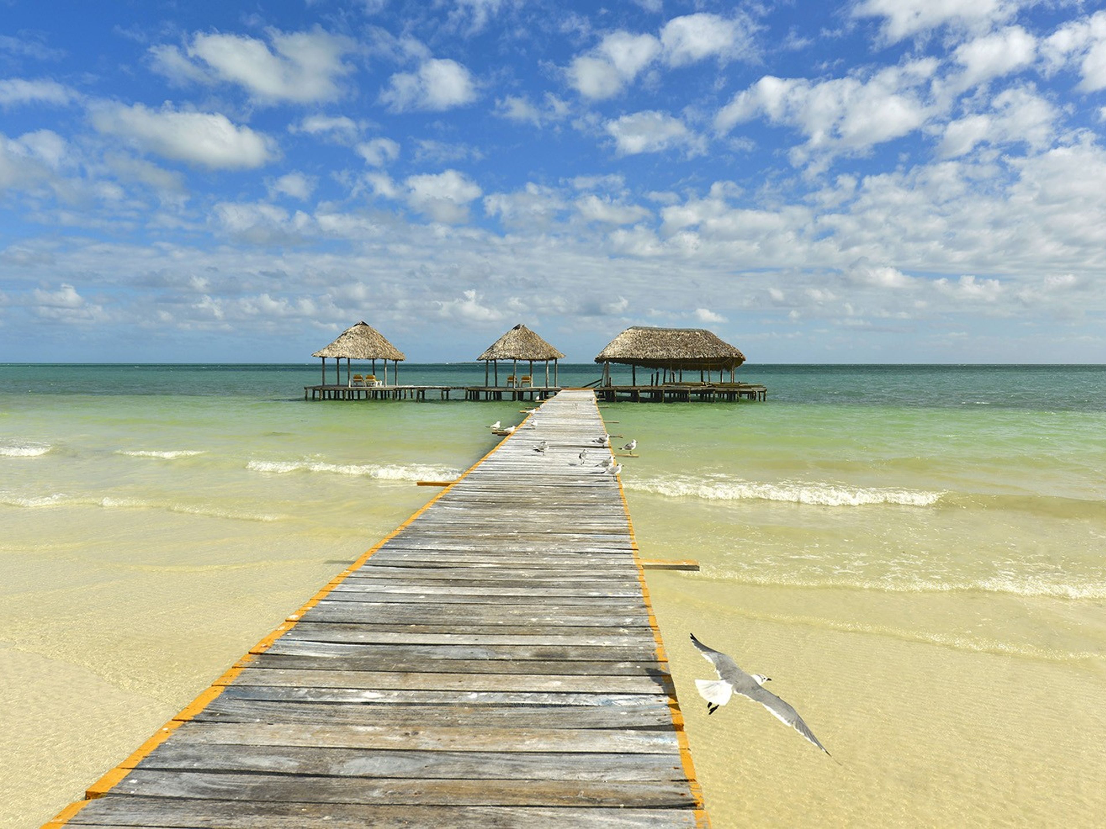 IBEROSTAR ORIGIN DAIQUIRÍ Hôtel (Anciennement Hôtel Iberostar Daiquirí)Beach view