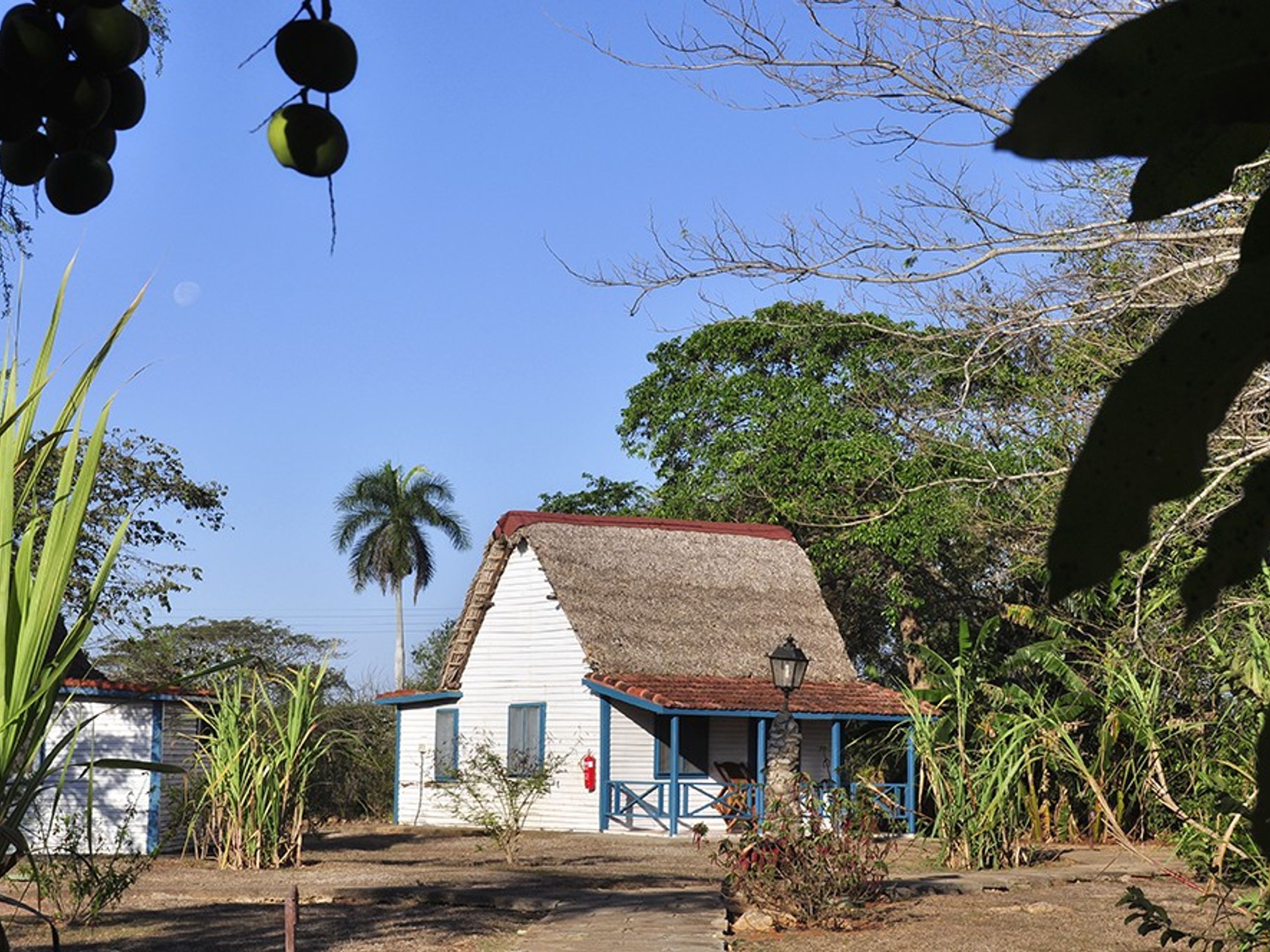 Villa Horizontes Batey Don PedroCabin view
