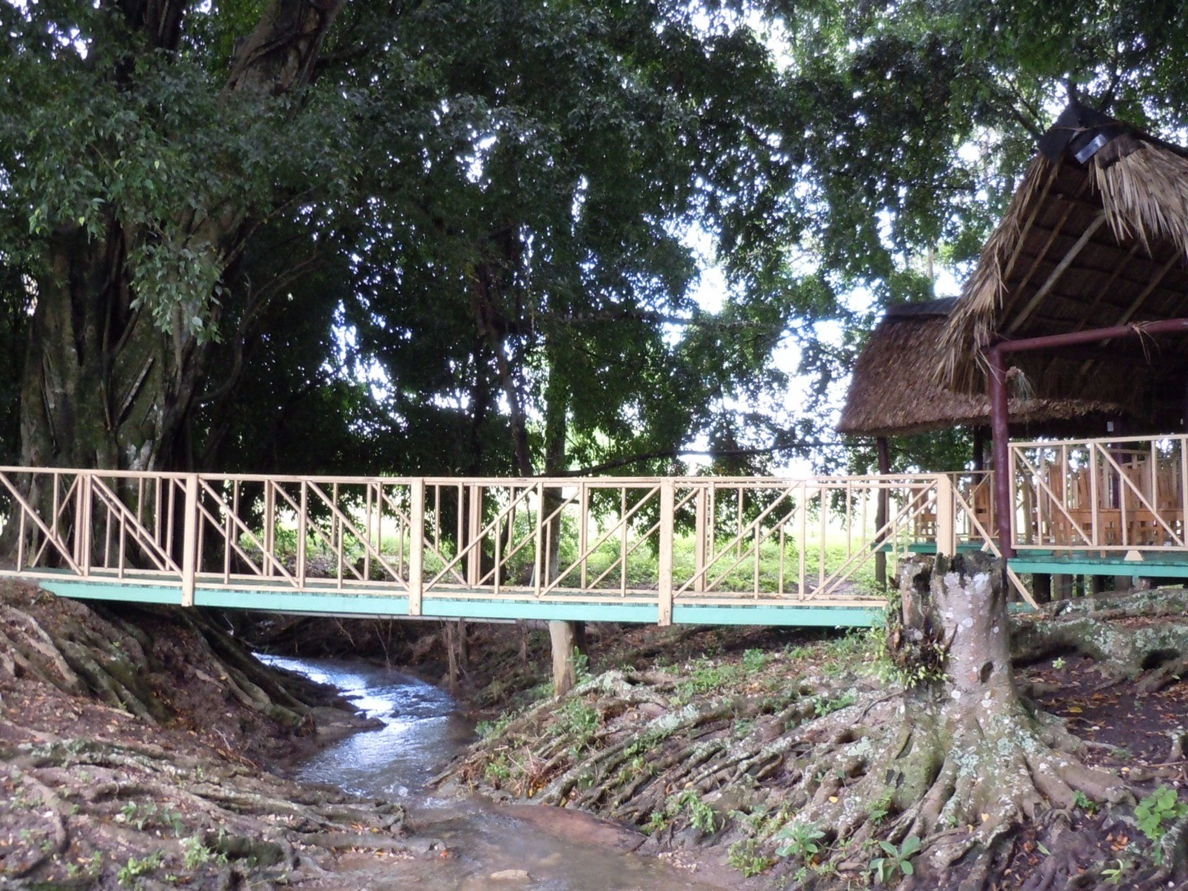 Finca Los ÁlamosRiver view