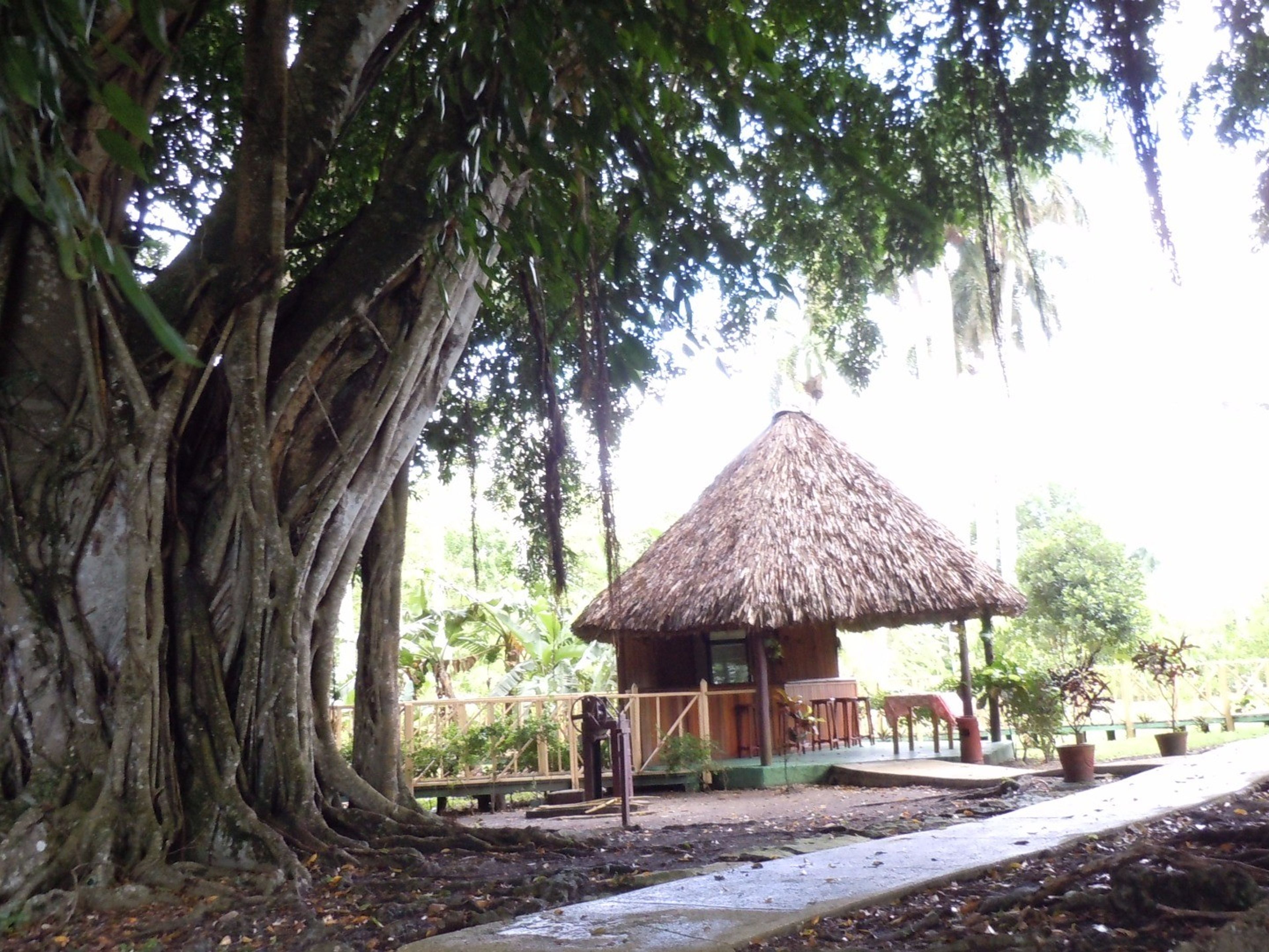 Finca Los ÁlamosBar view