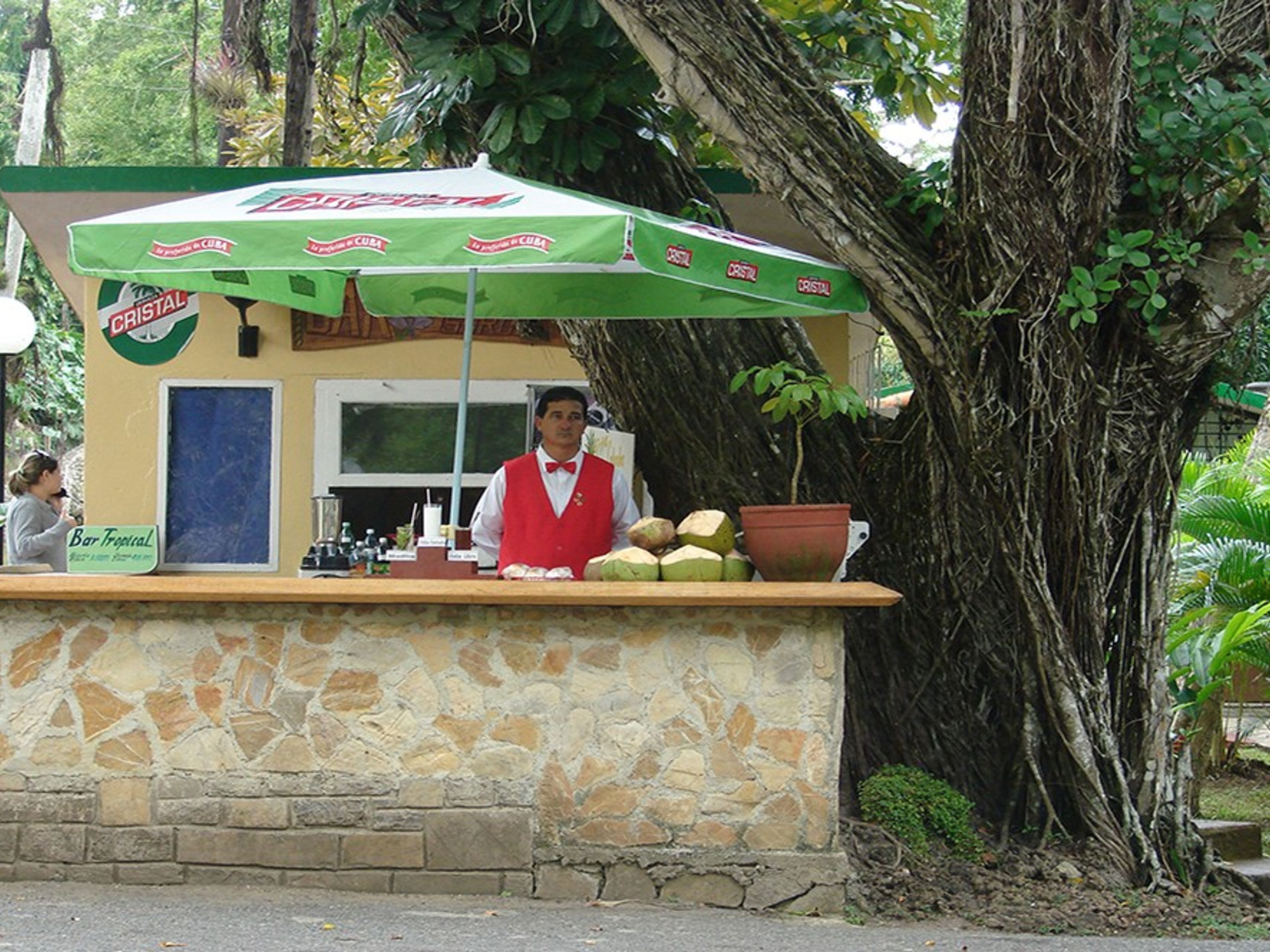 Villa Horizontes SoroaBar Tropical