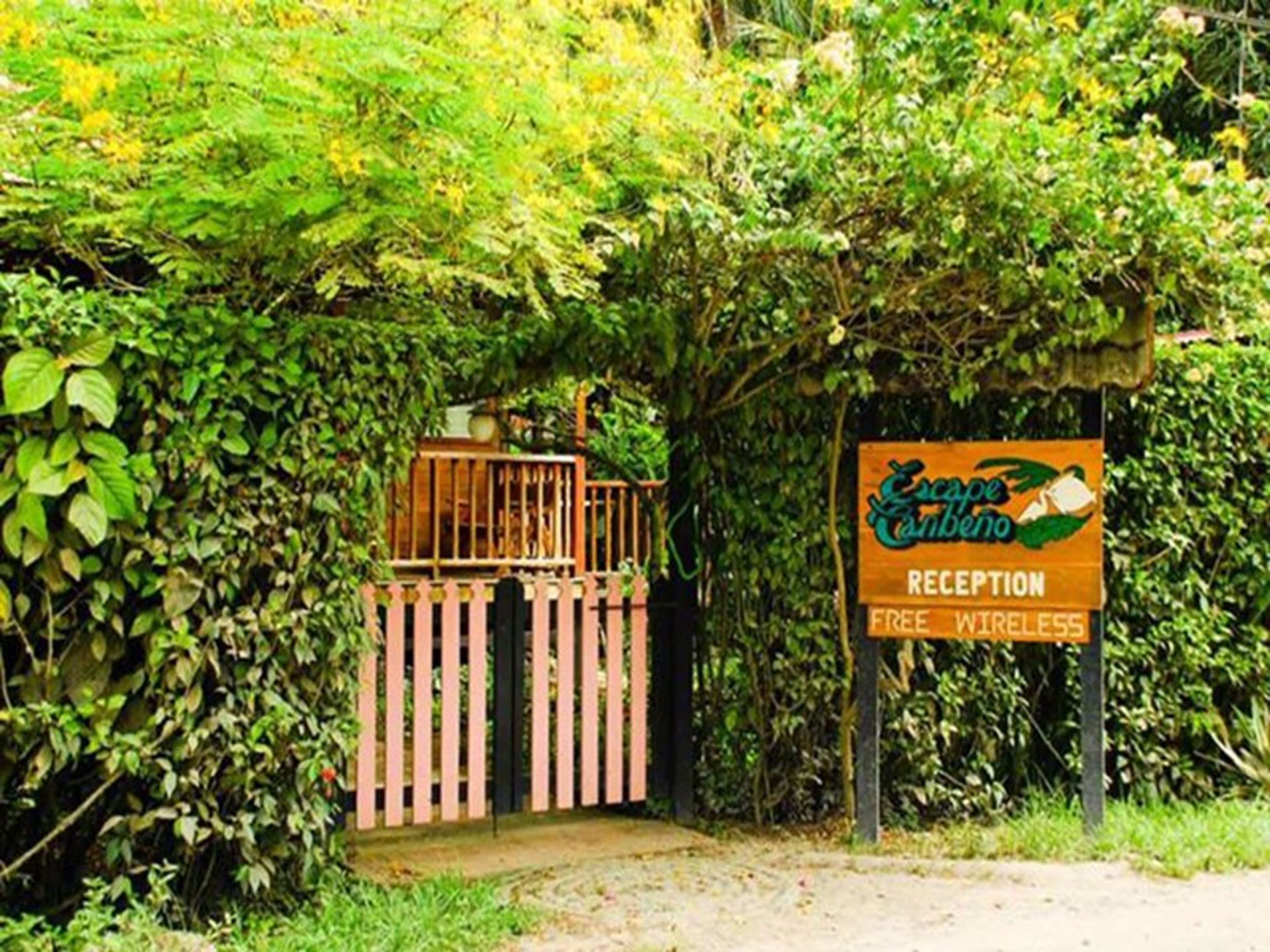 Hotel Escape CaribeñoHotel's entrance panoramic view