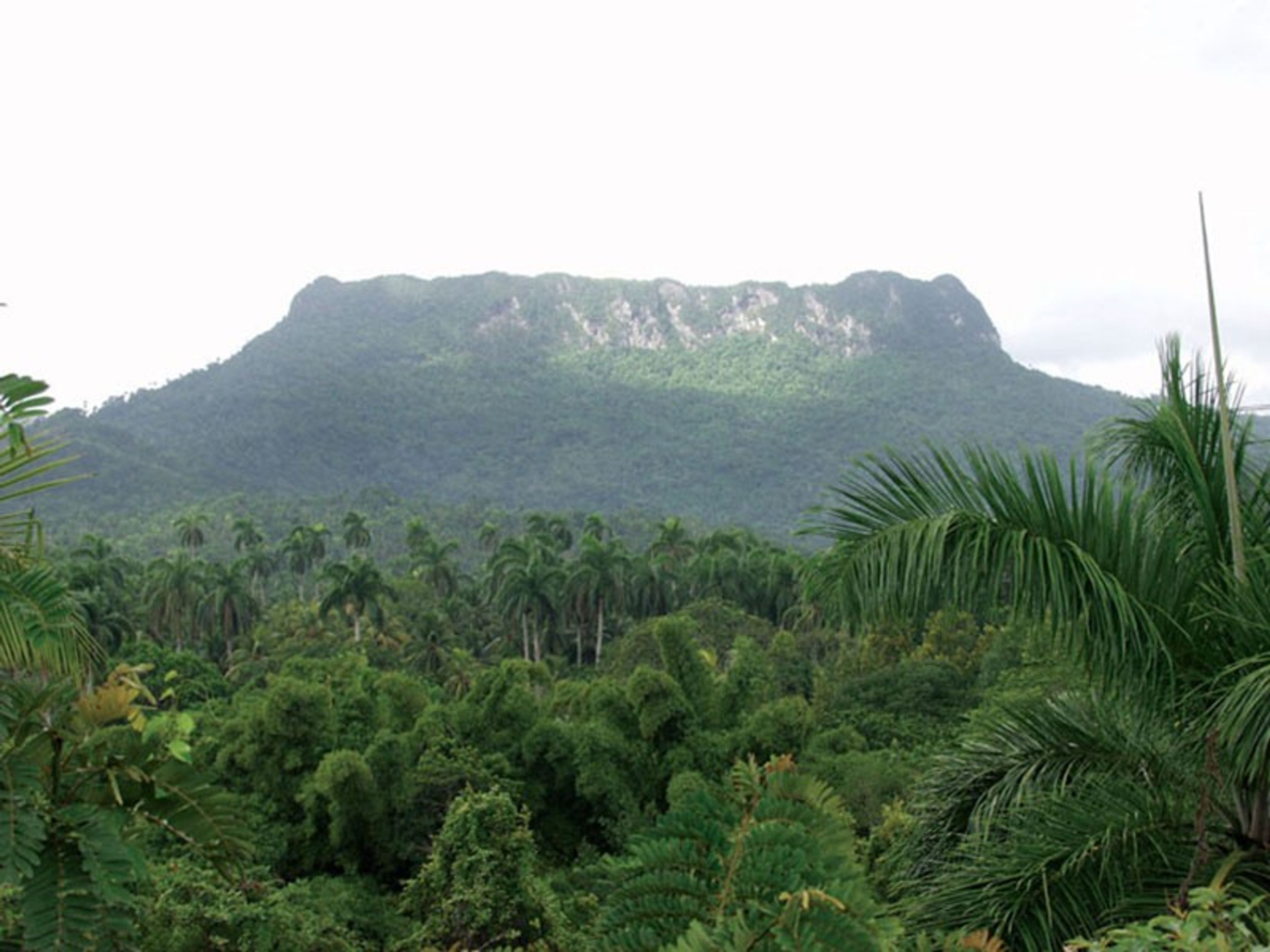 EL YUNQUE BARACOA CampingEl Yunque panoramic view