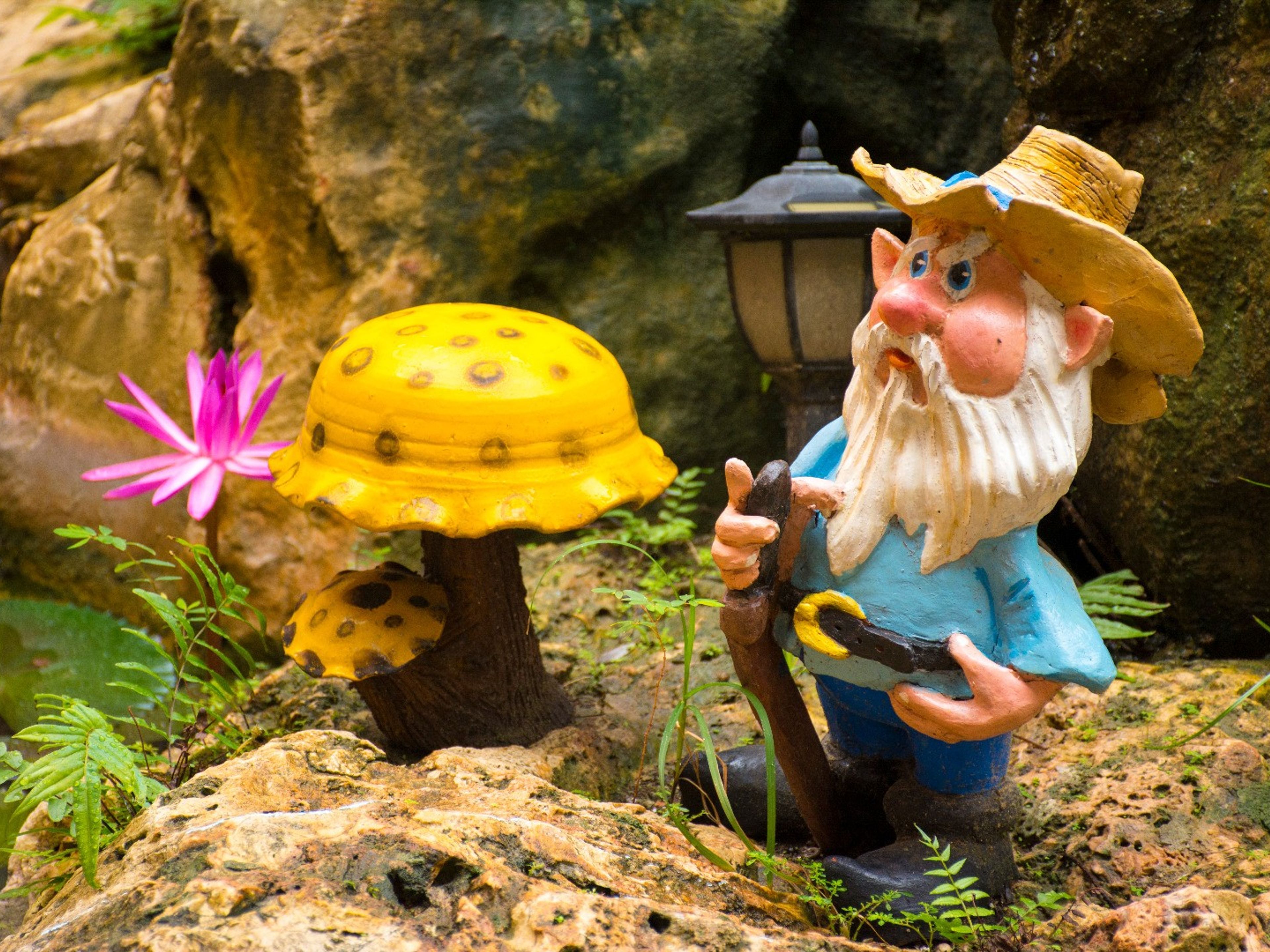 Отель ROC BARLOVENTO - Взрослые только старше 16 летHotel's details