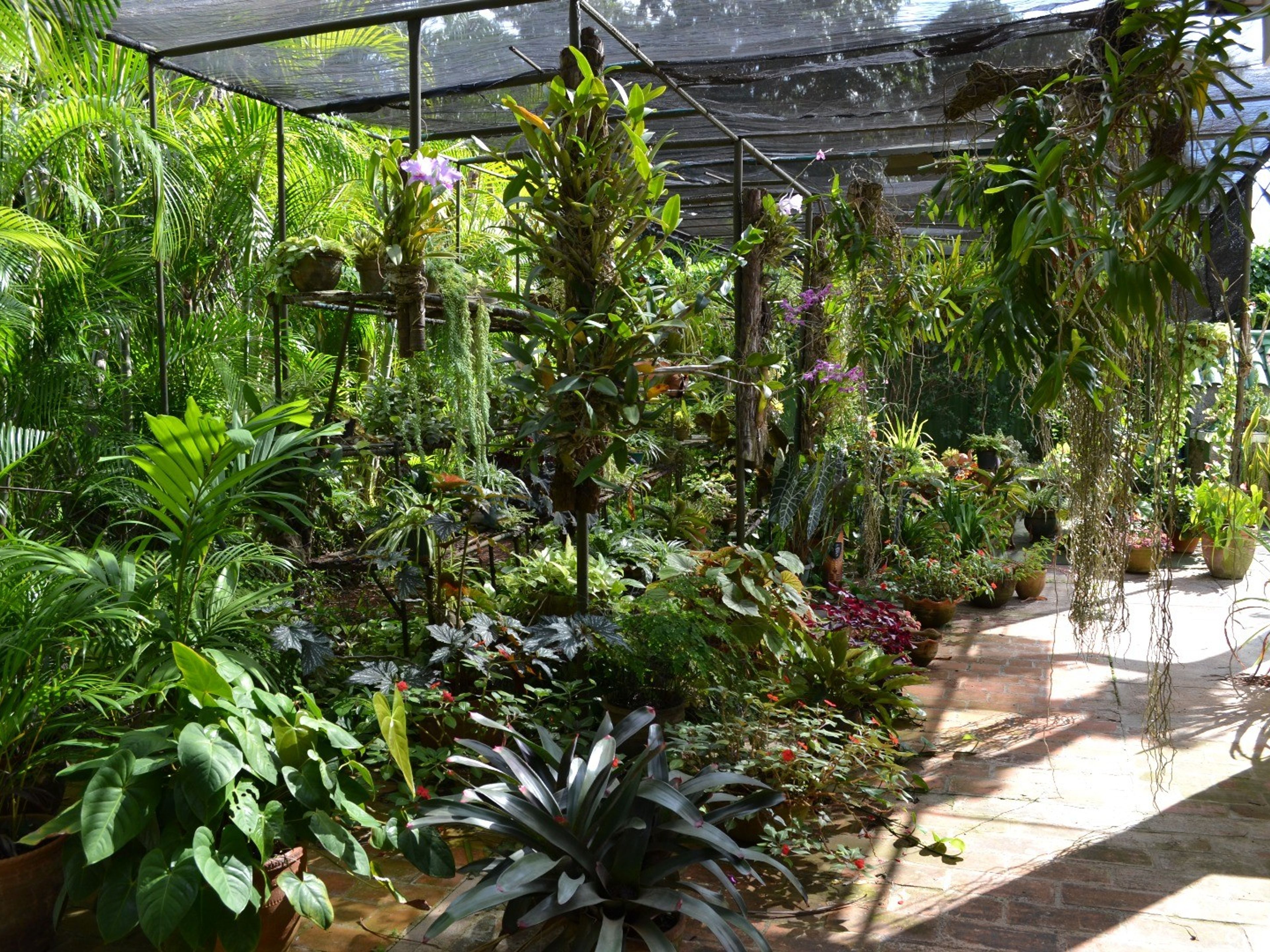 Casa Gerardo Espino, CALLE 214, No. 1112 - House garden view