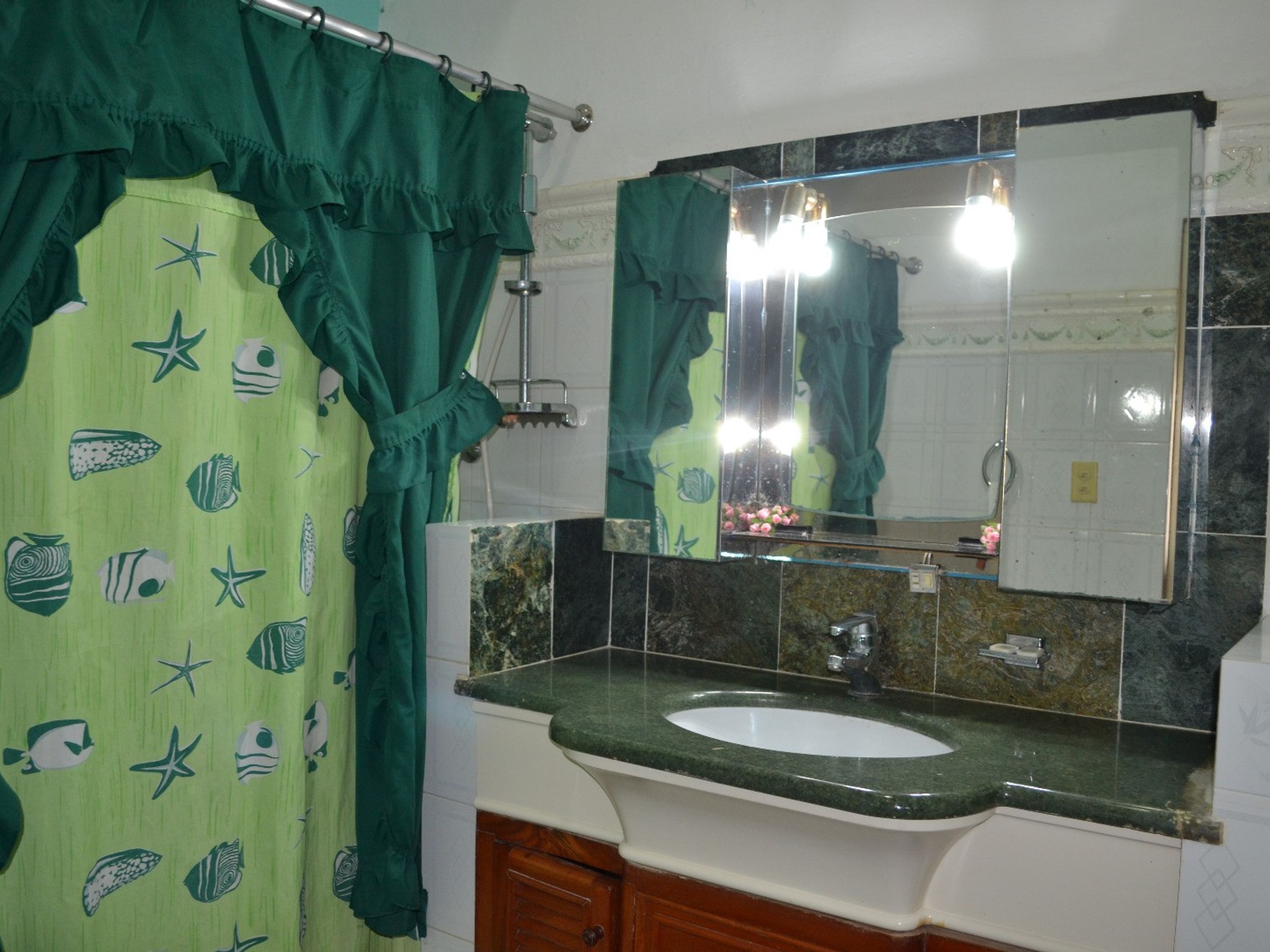 Casa Lilita, SAN JUAN DE DIOS, No. 104Bathroom view
