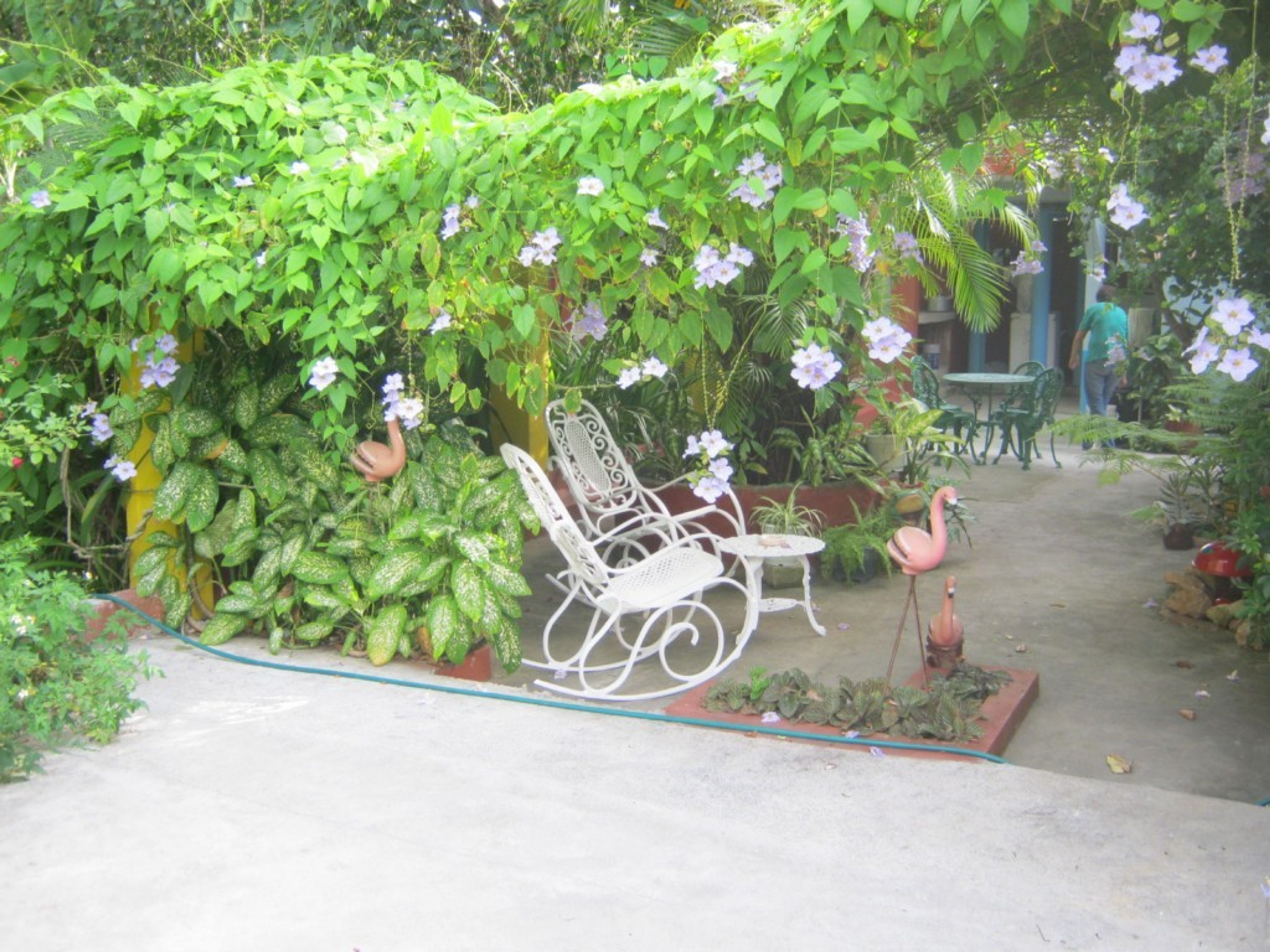 Casa Colonial Isabel, MARIANA GRAJALES, No. 35Inside patio view